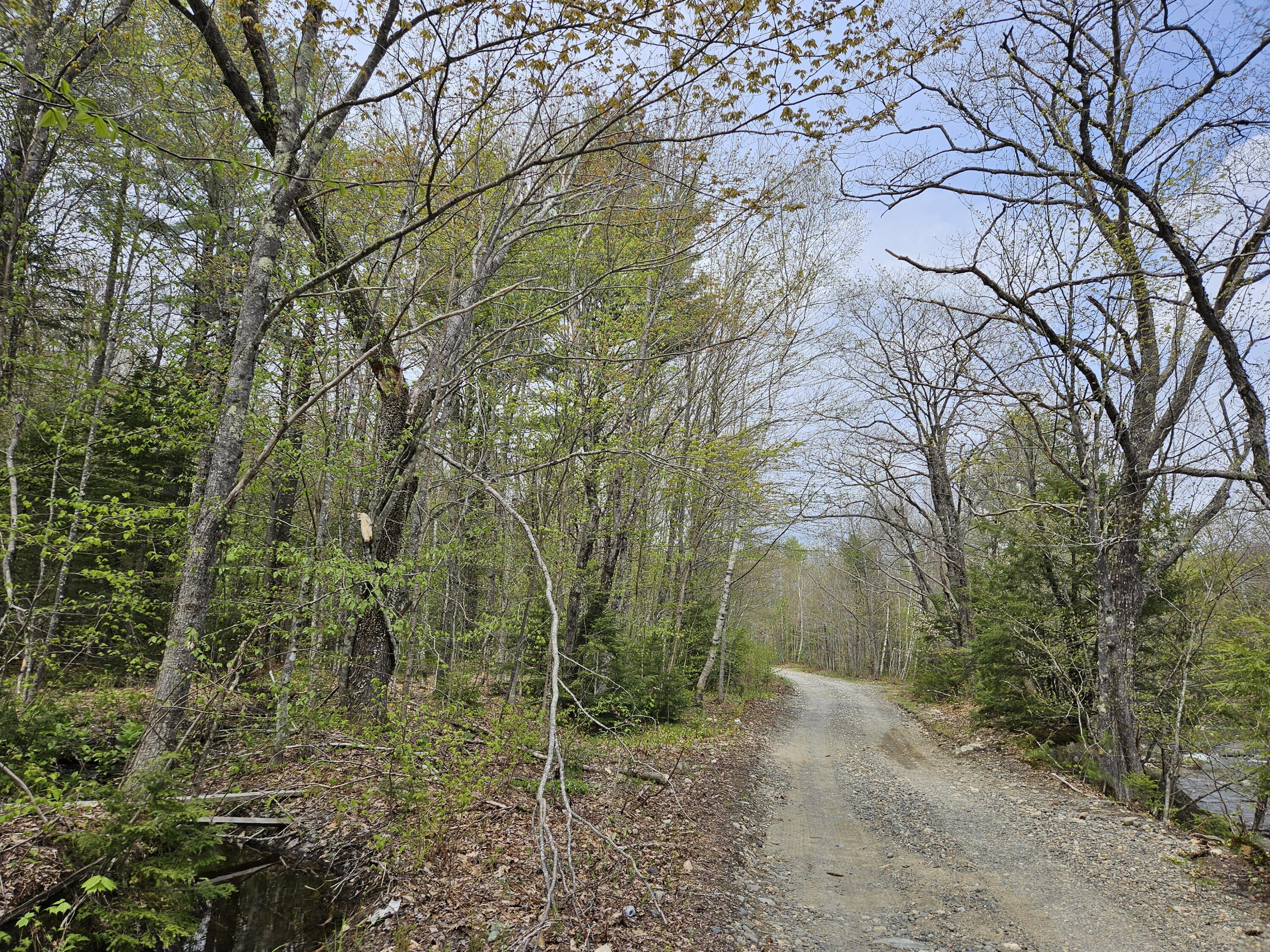 Mr02-l019 Holman Pond Road Temple, ME 04984 - Photo 17 of 40 Holman Lot 19