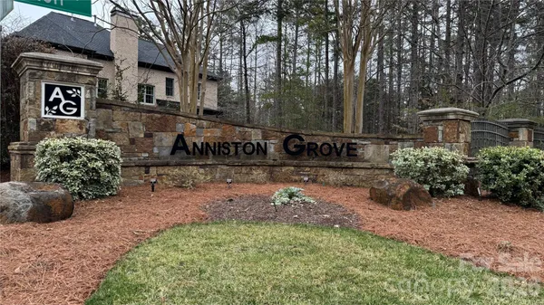 a view of a street with potted plants and large trees