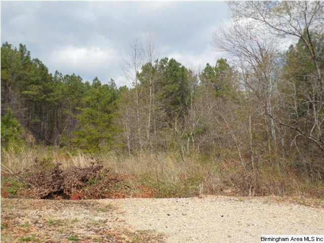 0 Rainbow Ridge Road, Unit 30 ACRES Anniston, AL 36207 - Photo 7 of 12