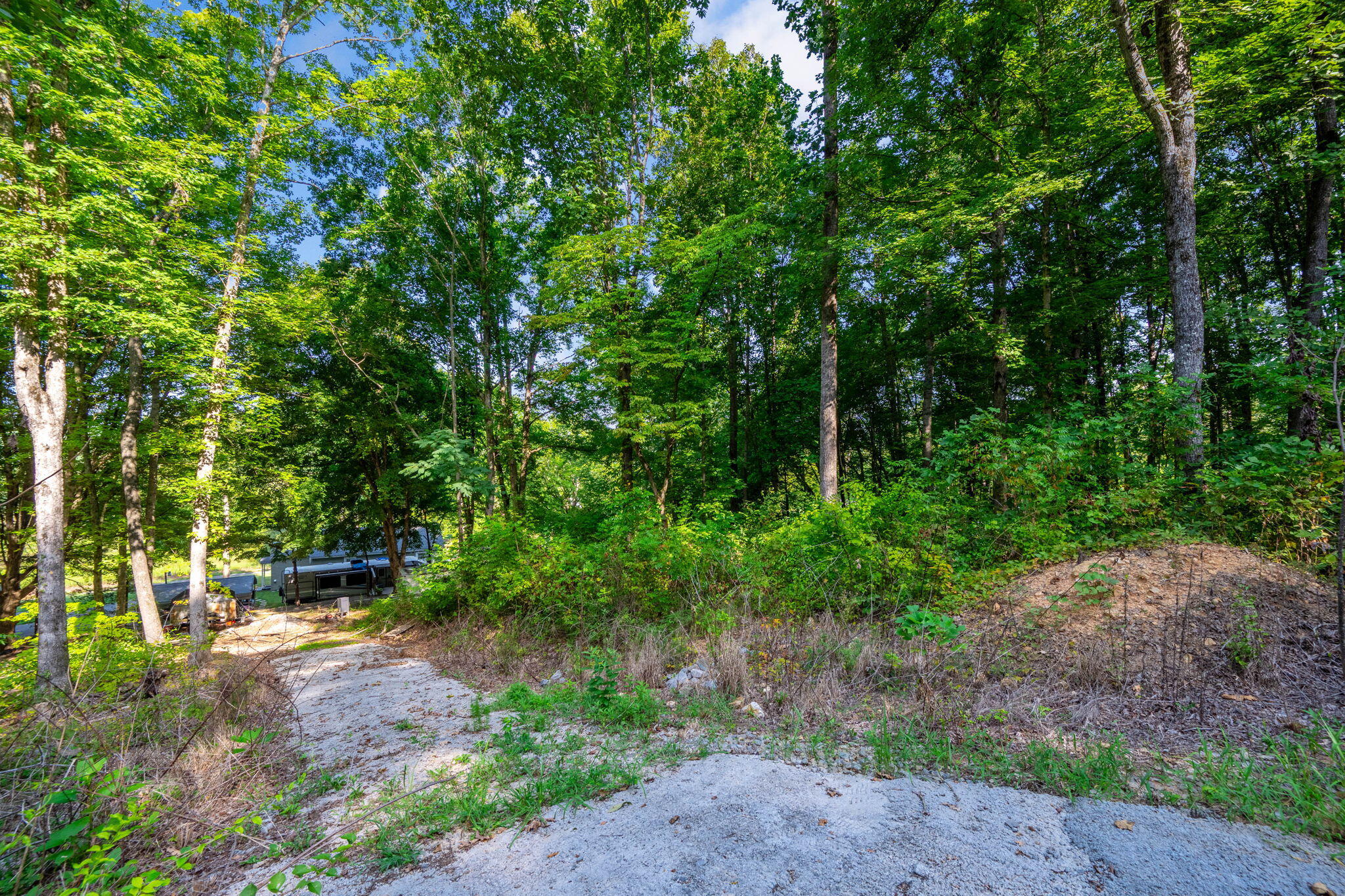 805 Lead Mine Valley Road Southwest Cleveland, TN 37311 - Photo 32 of 36 41-web-or-mls-DSC_3898