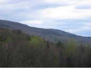 1668 Taber Hill Road Stowe, VT 05672 - Photo 3 of 6