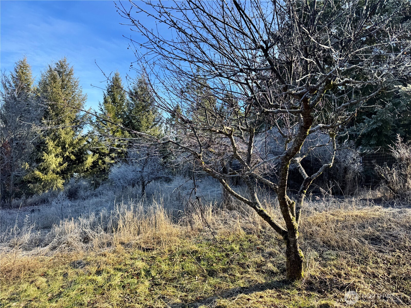 331 Corbett Creek Road Colville, WA 99114 - Photo 26 of 29 Gallery Image 26