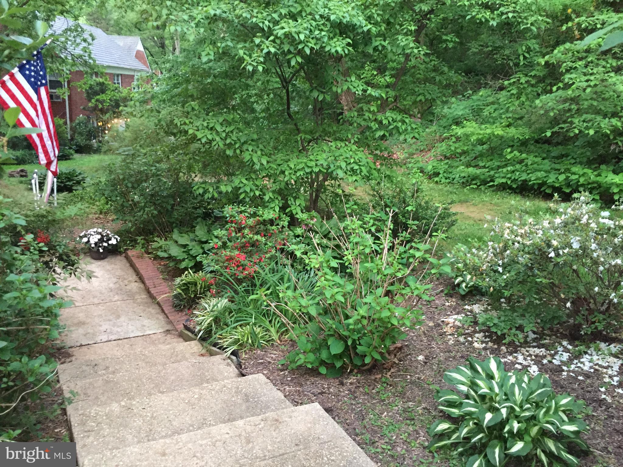 3630 Gunston Road Alexandria, VA 22302 - Photo 3 of 53 Surrounded by lush greenery (spring photo)