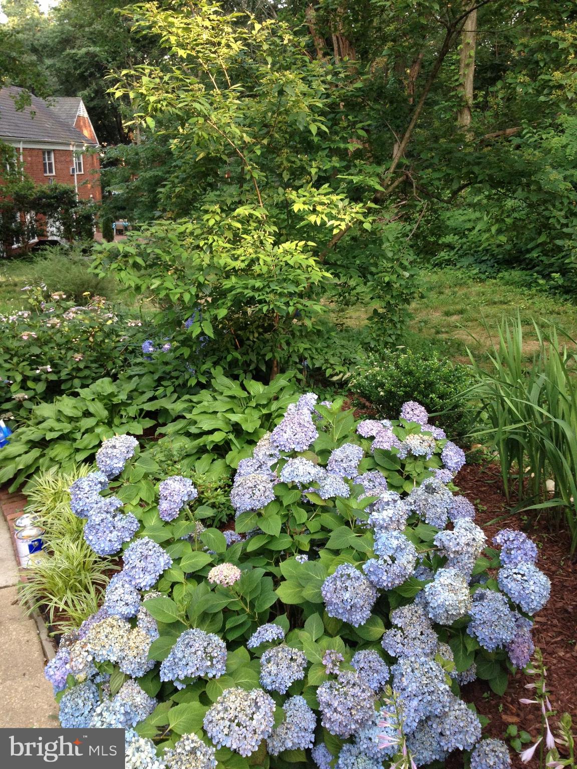3630 Gunston Road Alexandria, VA 22302 - Photo 41 of 53 Enjoy the outdoors in this end unit (spring)