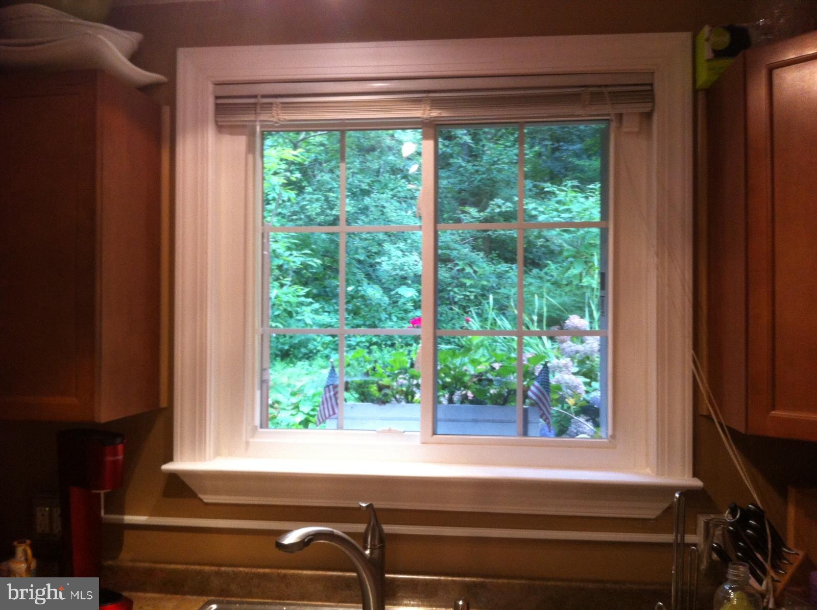 3630 Gunston Road Alexandria, VA 22302 - Photo 10 of 53 Cabin-like views from the kitchen