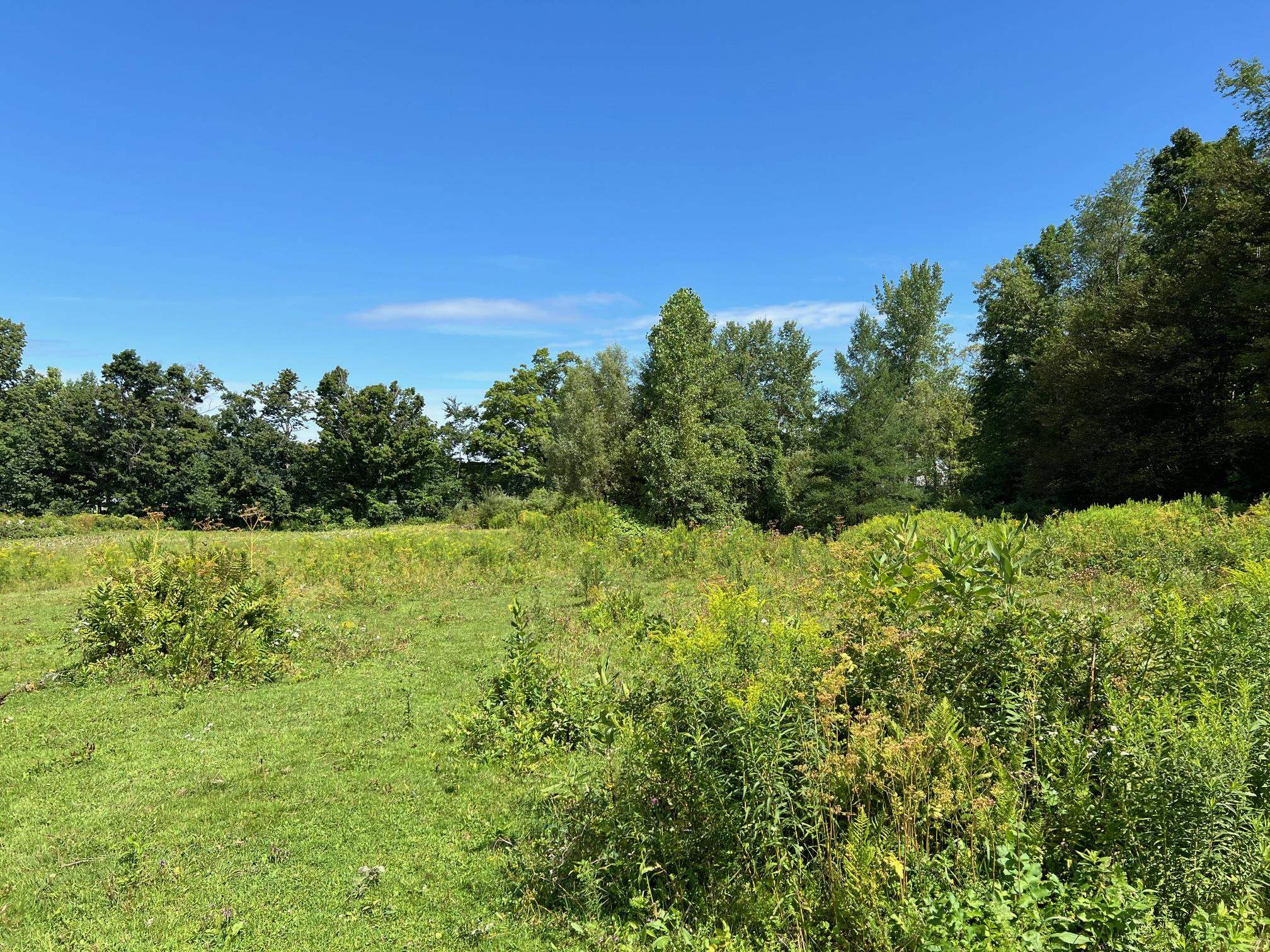 2079 Tinmouth Road Danby, VT 05739 - Photo 11 of 33 Gallery Image 11