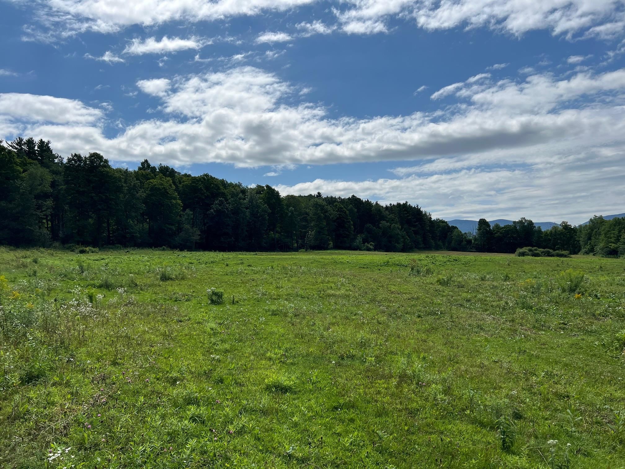 2079 Tinmouth Road Danby, VT 05739 - Photo 12 of 33 Gallery Image 12