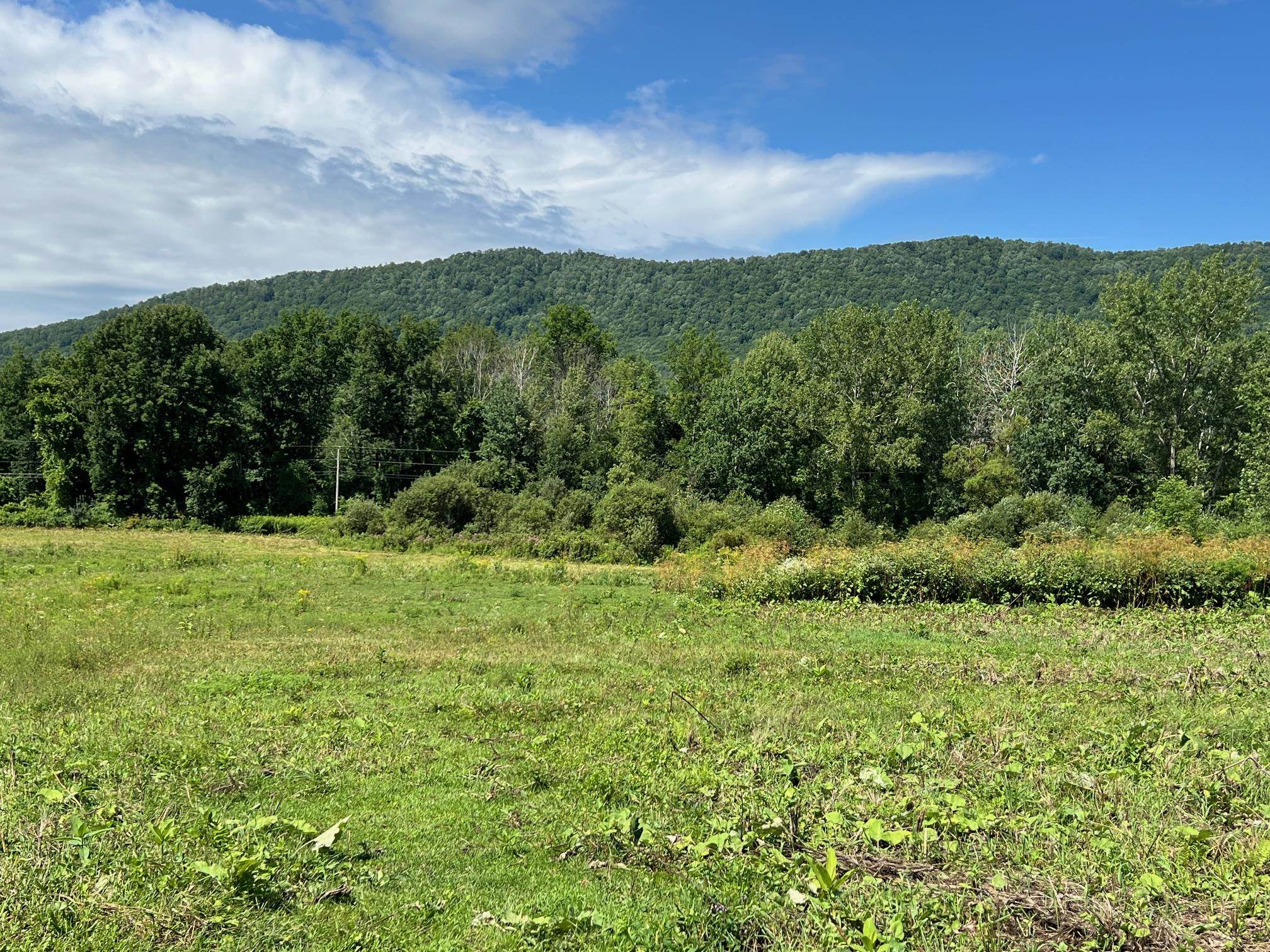2079 Tinmouth Road Danby, VT 05739 - Photo 13 of 33 Gallery Image 13