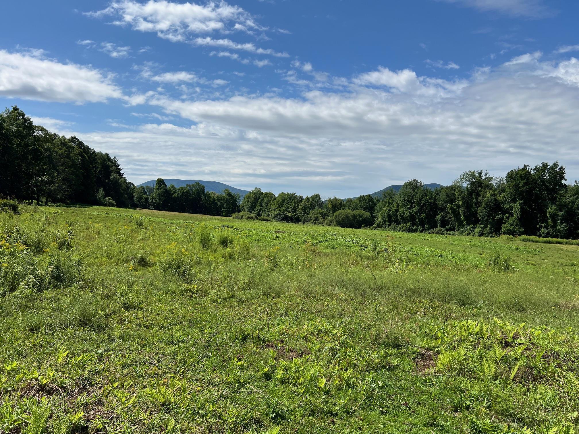 2079 Tinmouth Road Danby, VT 05739 - Photo 19 of 33 Gallery Image 19