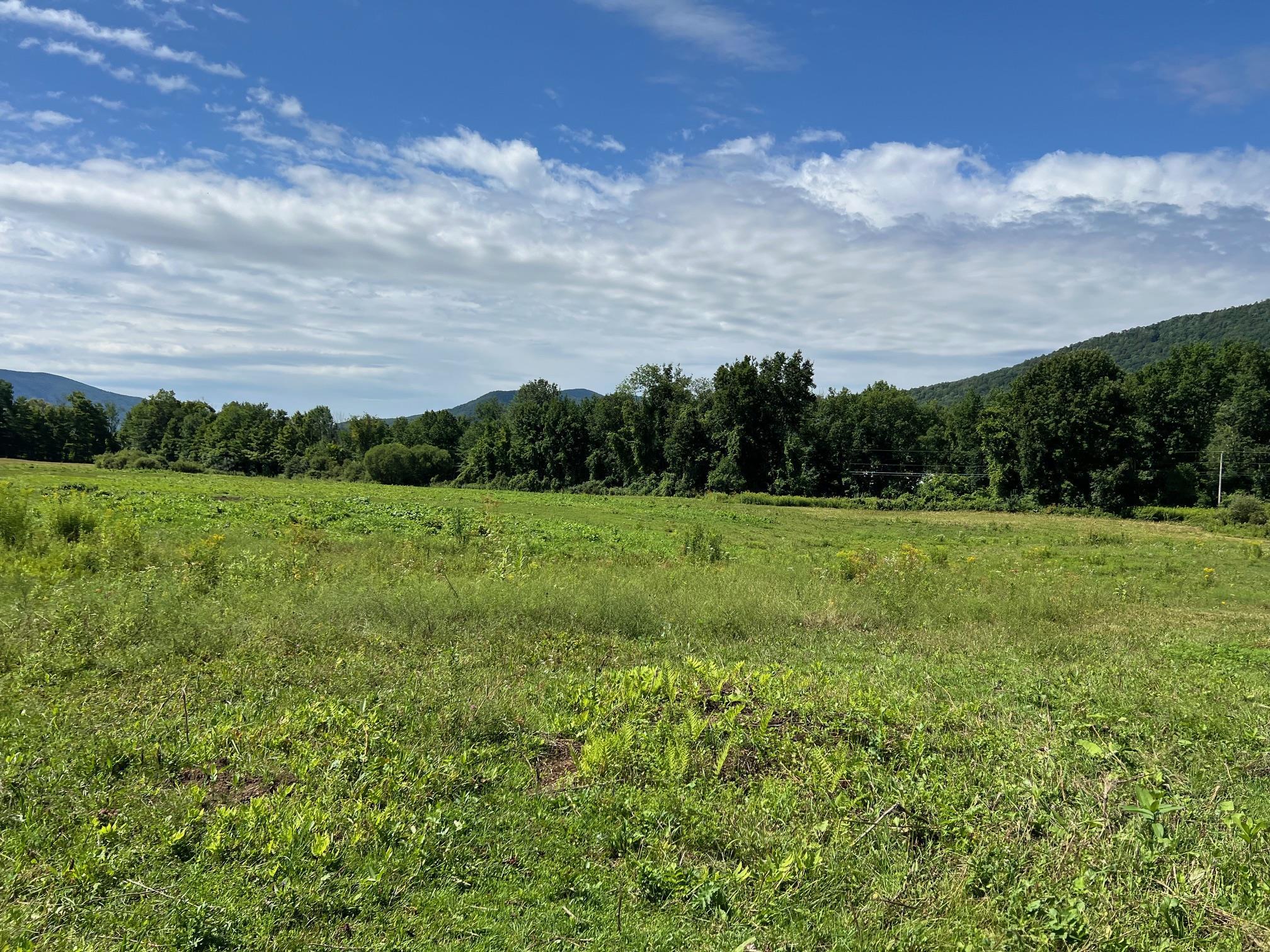 2079 Tinmouth Road Danby, VT 05739 - Photo 20 of 33 Gallery Image 20