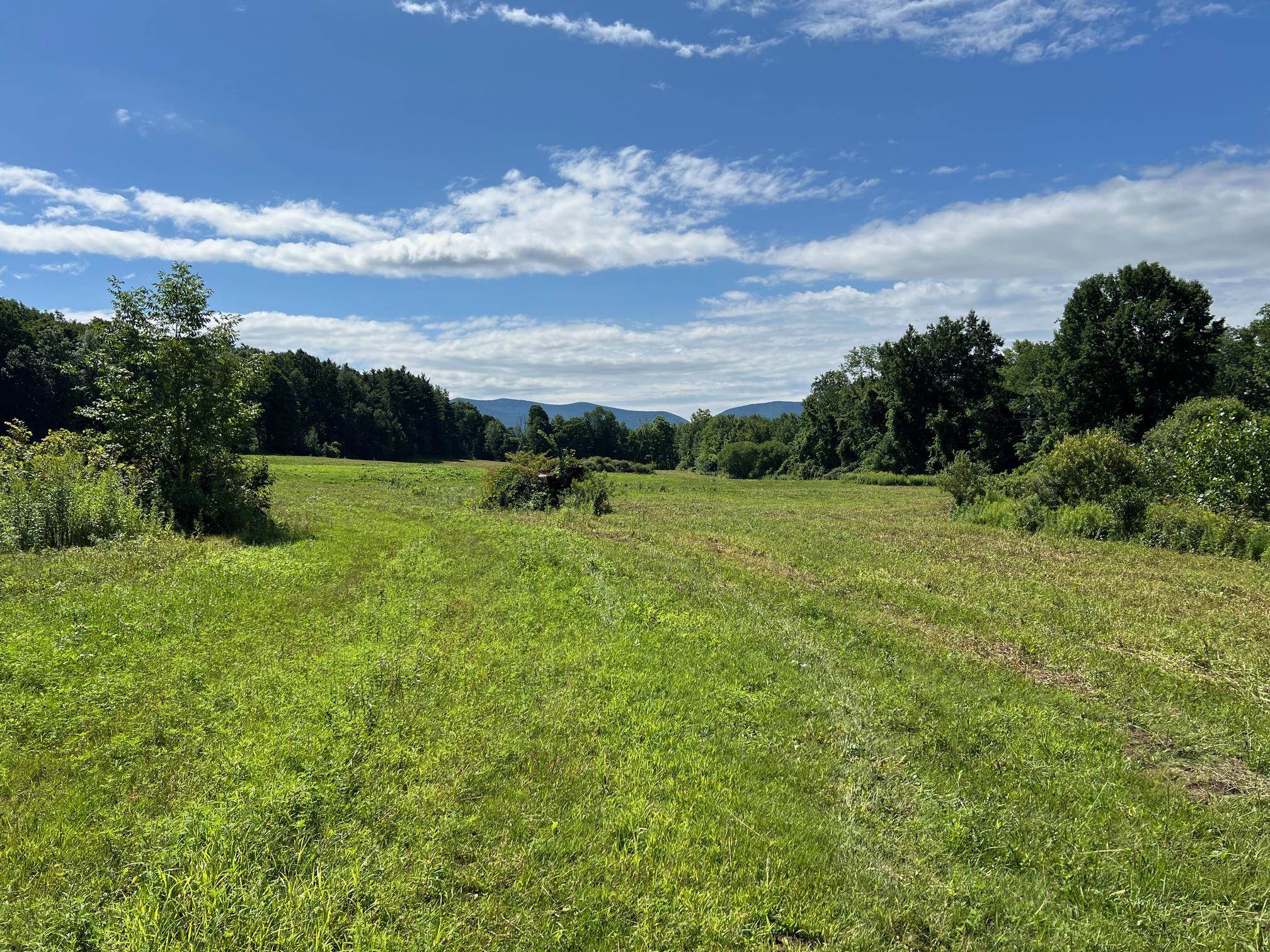 2079 Tinmouth Road Danby, VT 05739 - Photo 2 of 33 Gallery Image 2