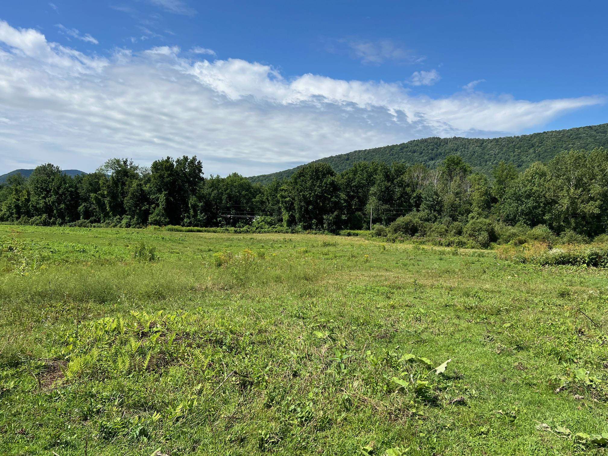 2079 Tinmouth Road Danby, VT 05739 - Photo 21 of 33 Gallery Image 21
