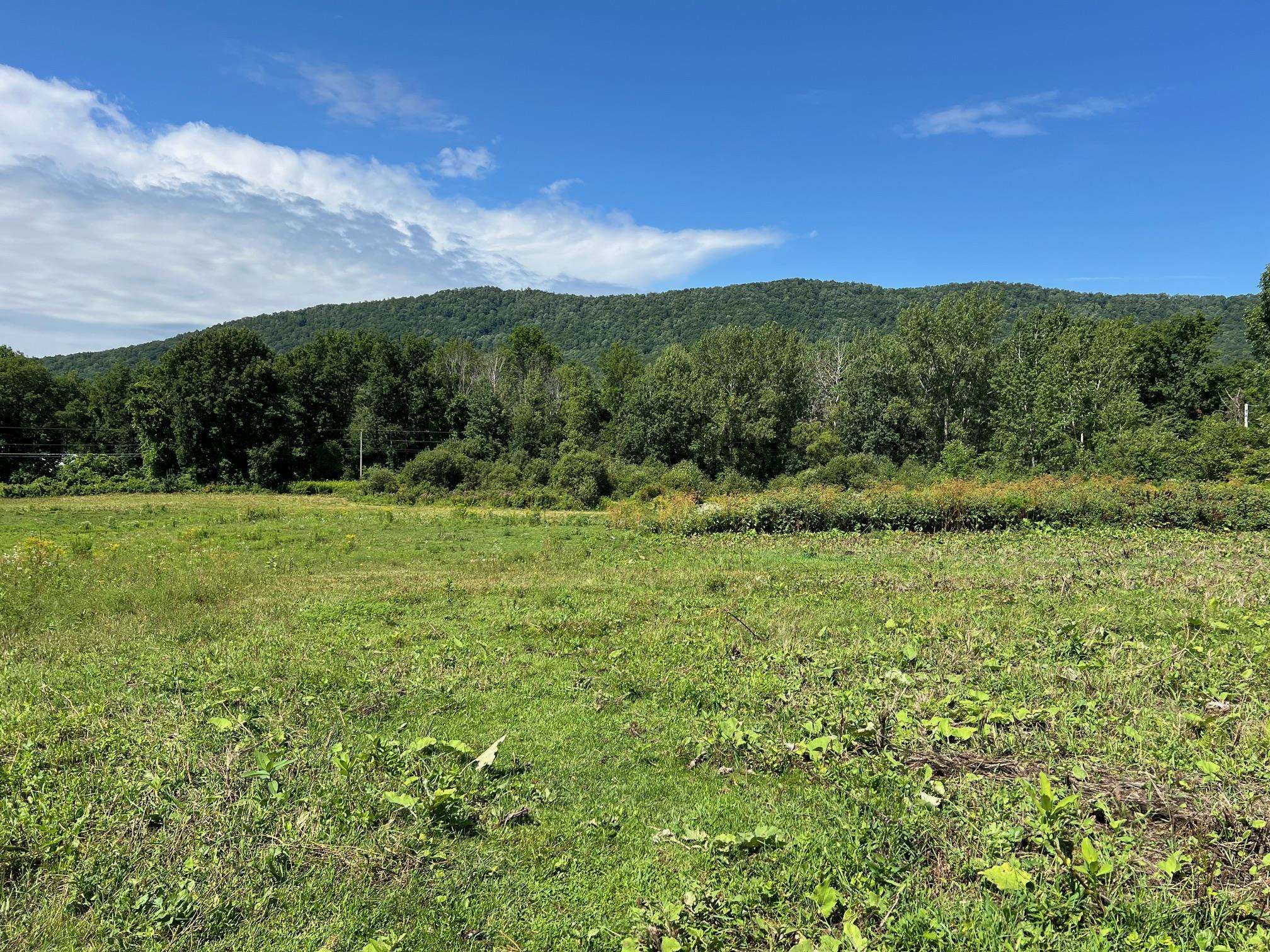 2079 Tinmouth Road Danby, VT 05739 - Photo 22 of 33 Gallery Image 22