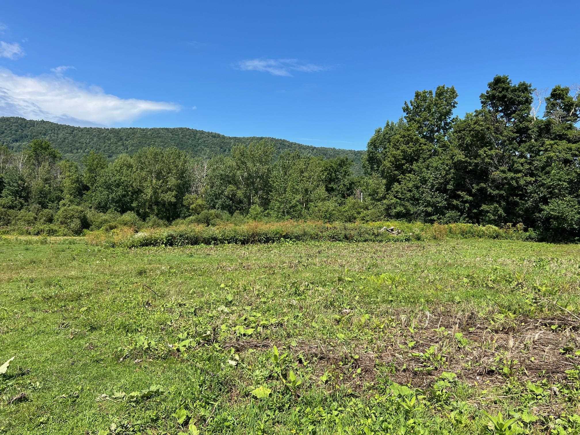2079 Tinmouth Road Danby, VT 05739 - Photo 23 of 33 Gallery Image 23