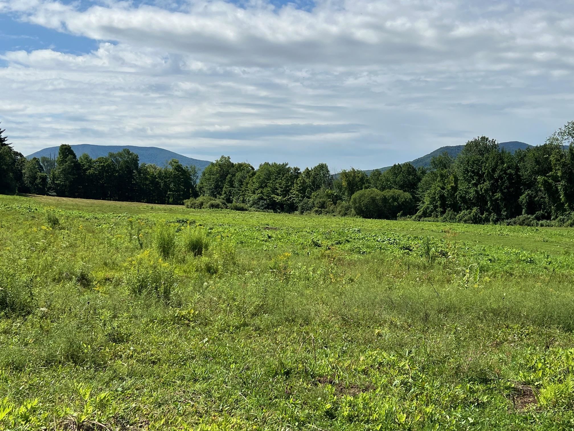 2079 Tinmouth Road Danby, VT 05739 - Photo 24 of 33 Gallery Image 24