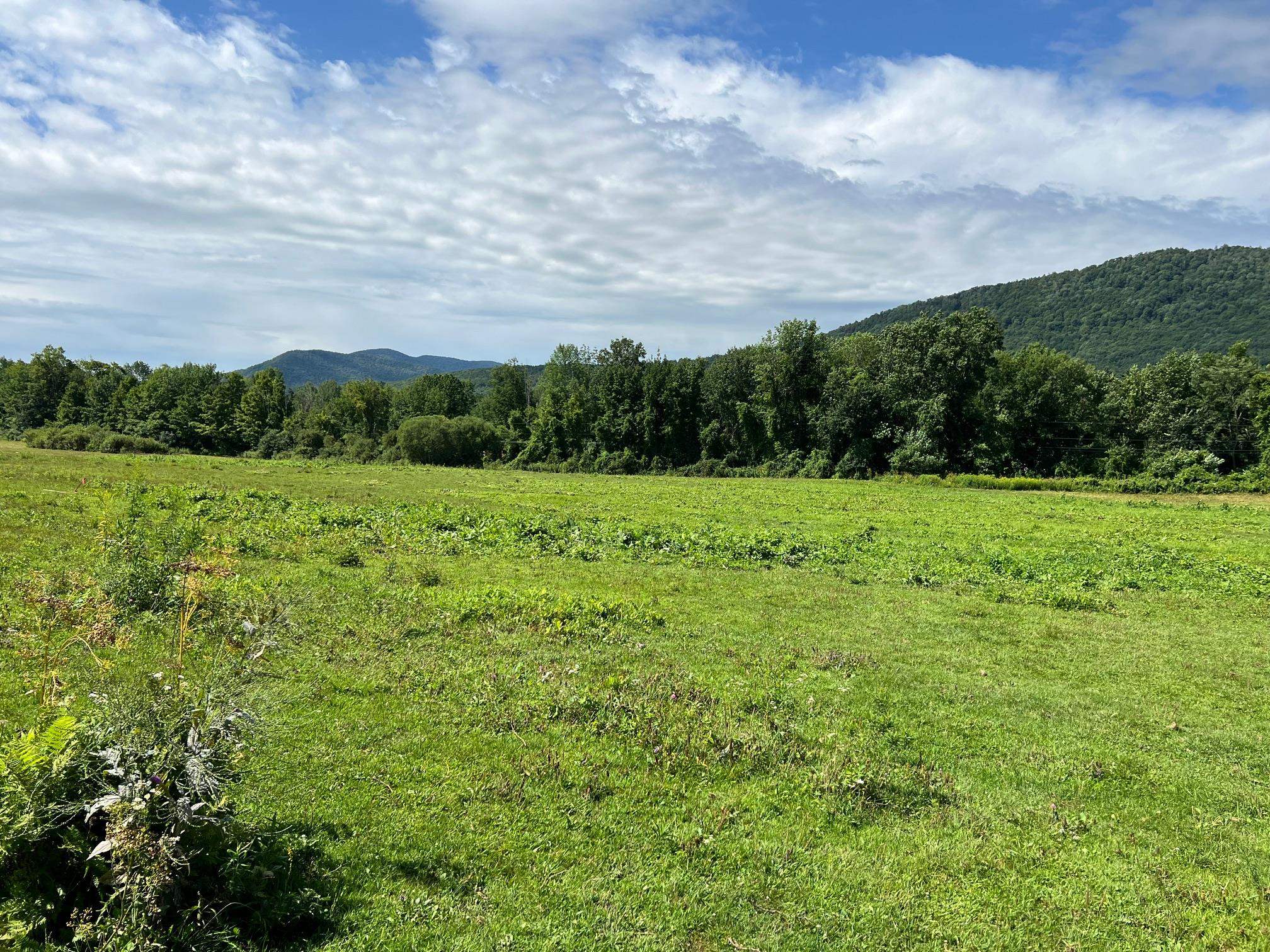 2079 Tinmouth Road Danby, VT 05739 - Photo 25 of 33 Gallery Image 25