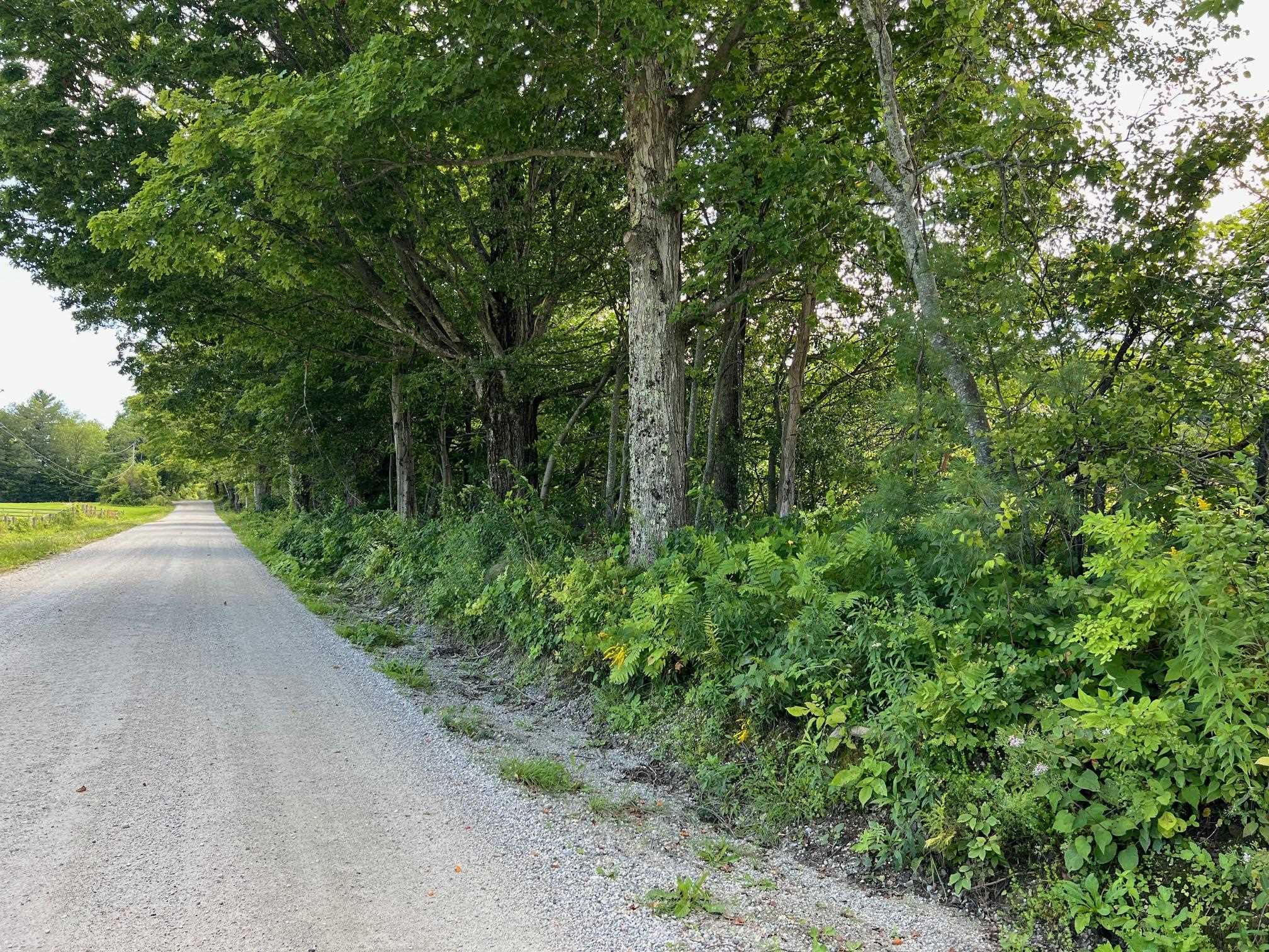 2079 Tinmouth Road Danby, VT 05739 - Photo 27 of 33 Gallery Image 27