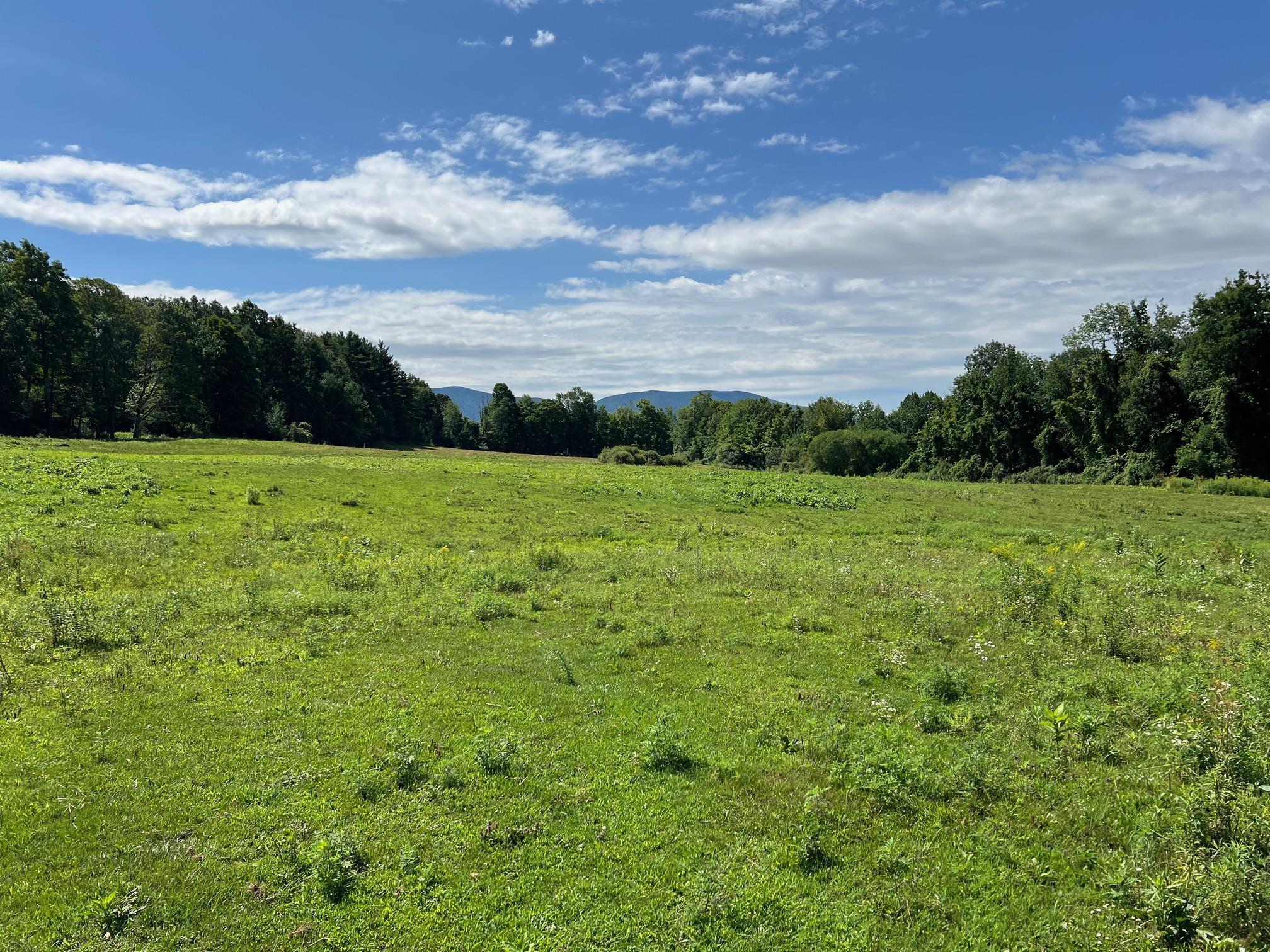 2079 Tinmouth Road Danby, VT 05739 - Photo 28 of 33 Gallery Image 28