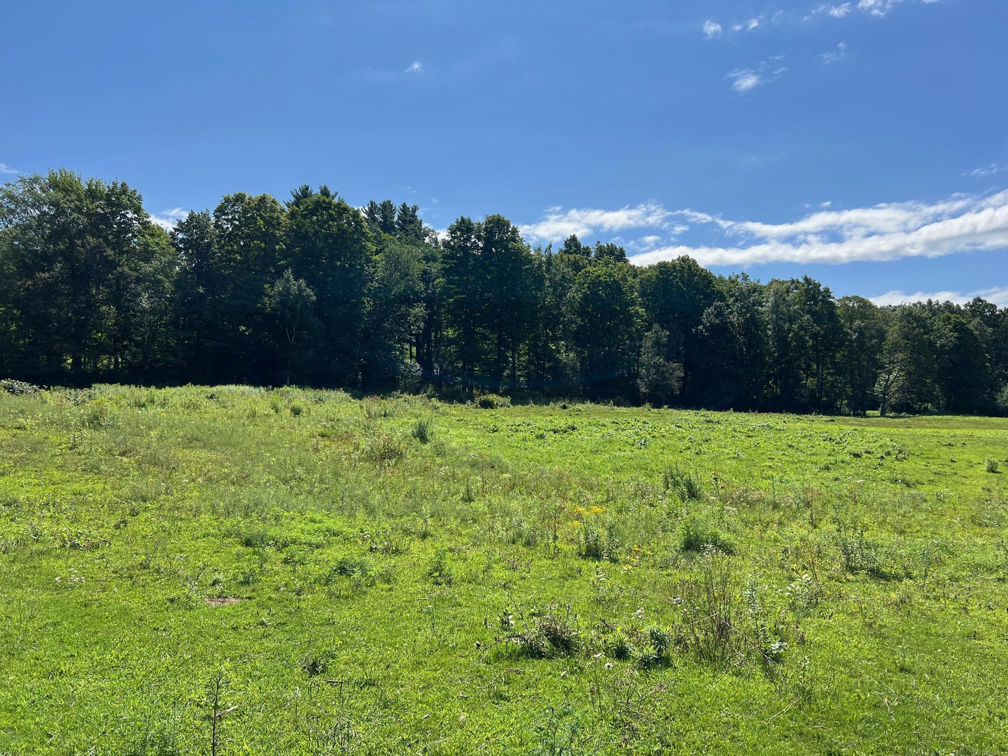 2079 Tinmouth Road Danby, VT 05739 - Photo 29 of 33 Gallery Image 29