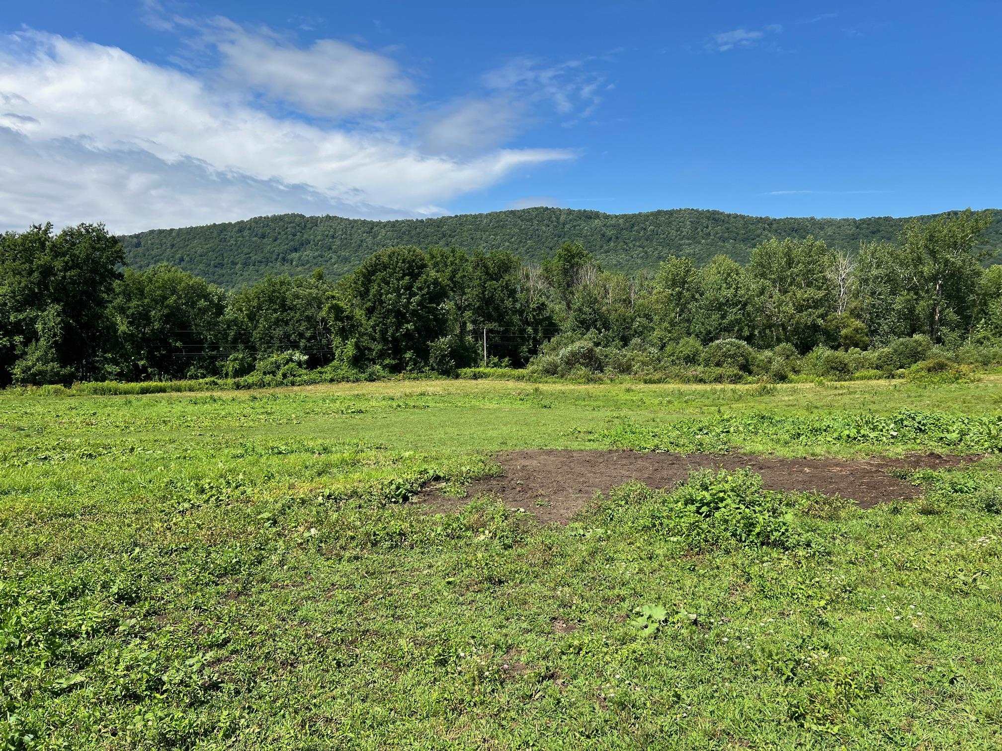 2079 Tinmouth Road Danby, VT 05739 - Photo 3 of 33 Gallery Image 3