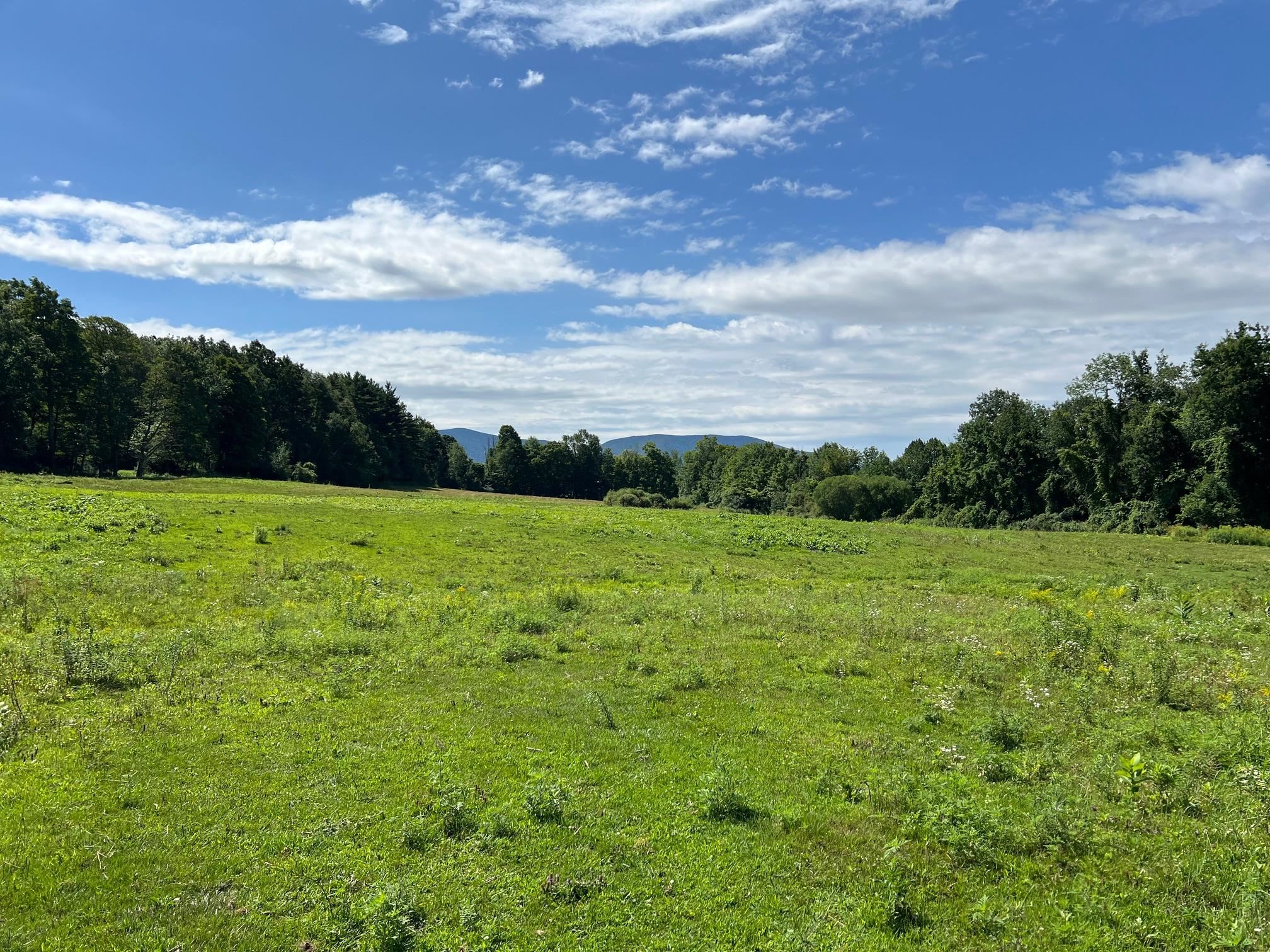 2079 Tinmouth Road Danby, VT 05739 - Photo 31 of 33 Gallery Image 31