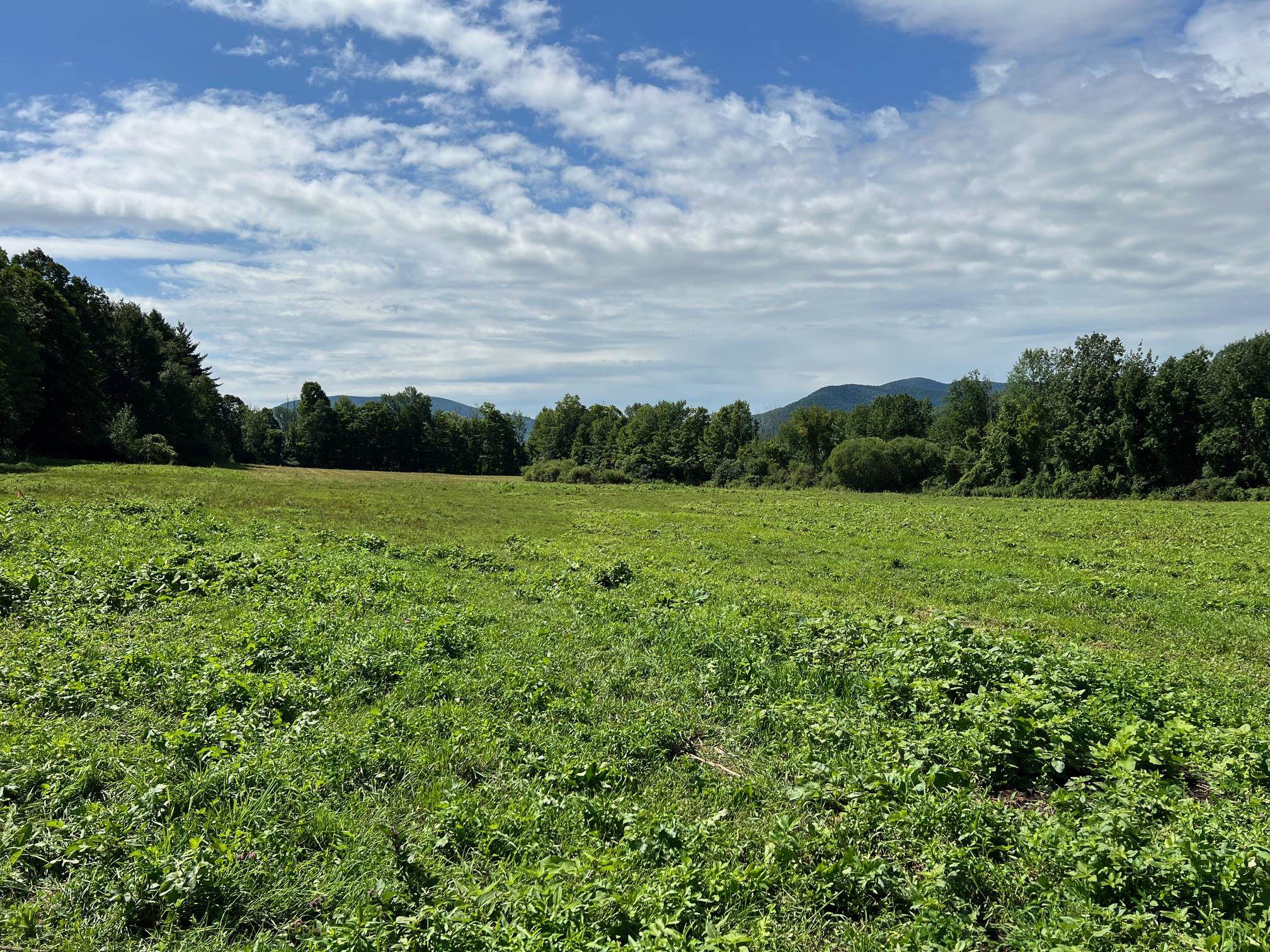 2079 Tinmouth Road Danby, VT 05739 - Photo 32 of 33 Gallery Image 32
