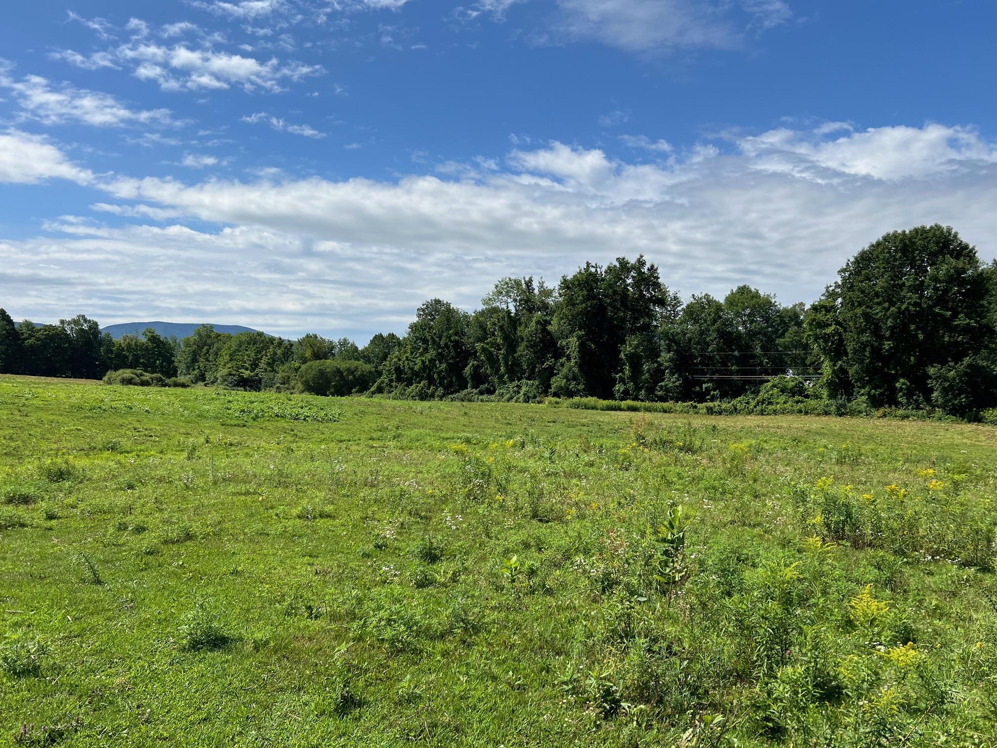 2079 Tinmouth Road Danby, VT 05739 - Photo 33 of 33 Gallery Image 33