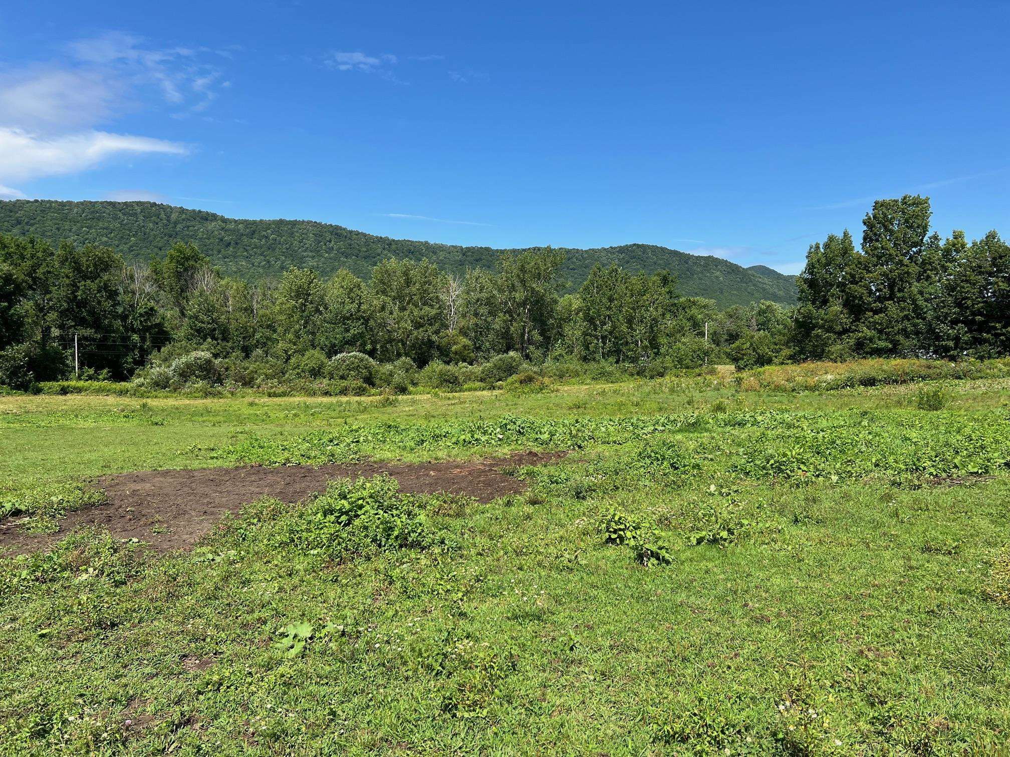 2079 Tinmouth Road Danby, VT 05739 - Photo 4 of 33 Gallery Image 4