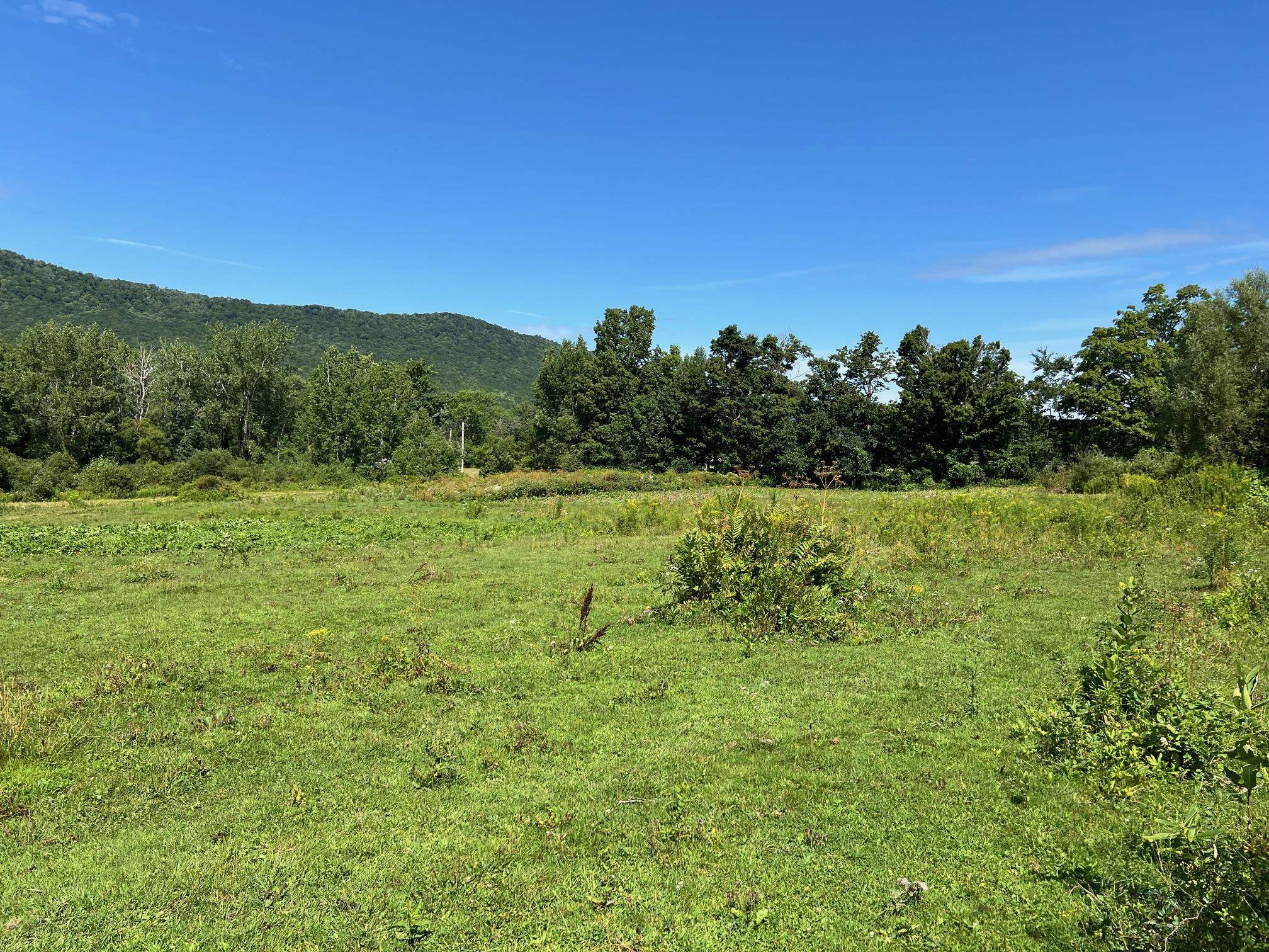 2079 Tinmouth Road Danby, VT 05739 - Photo 6 of 33 Gallery Image 6