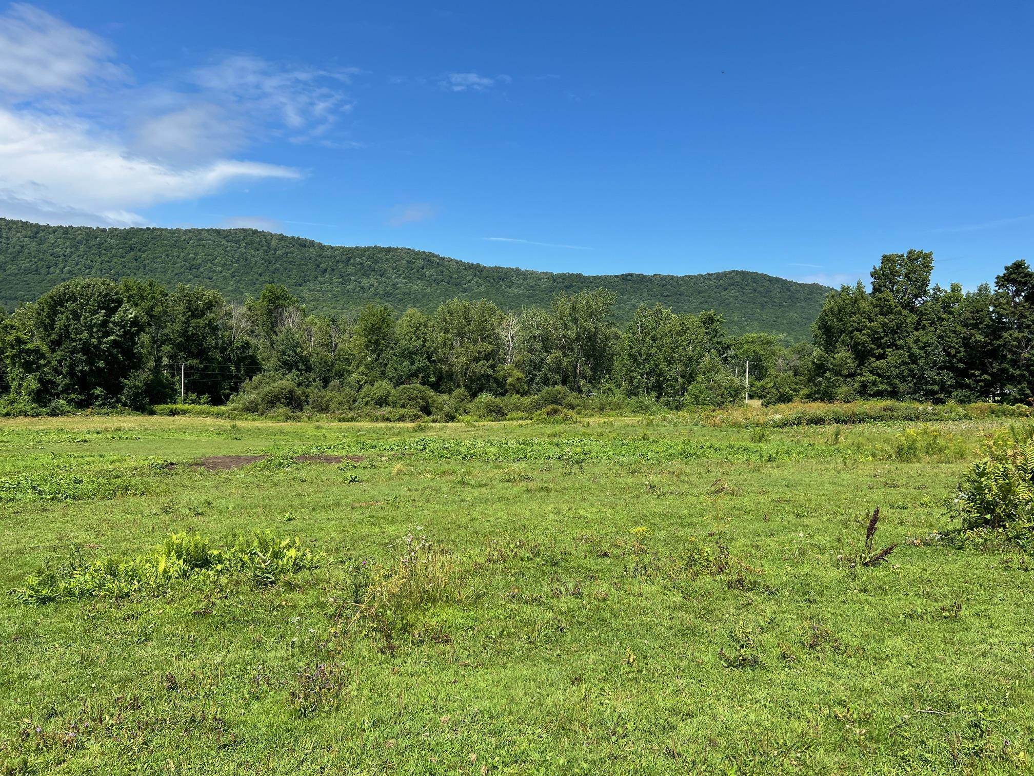2079 Tinmouth Road Danby, VT 05739 - Photo 7 of 33 Gallery Image 7