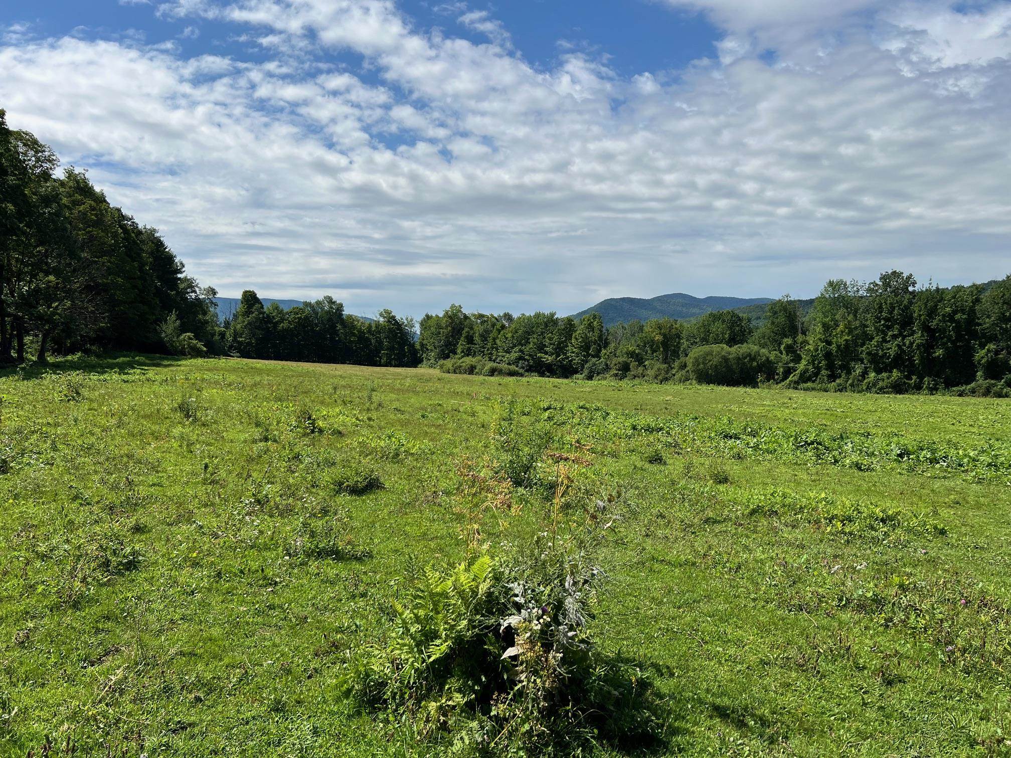 2079 Tinmouth Road Danby, VT 05739 - Photo 8 of 33 Gallery Image 8