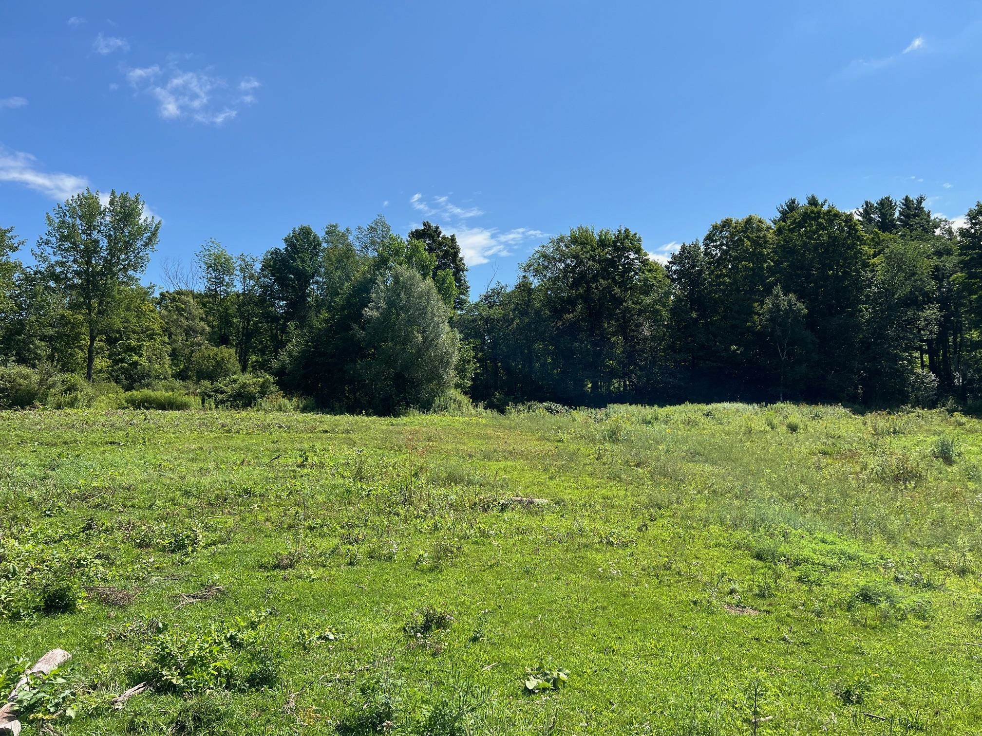 2079 Tinmouth Road Danby, VT 05739 - Photo 10 of 33 Gallery Image 10