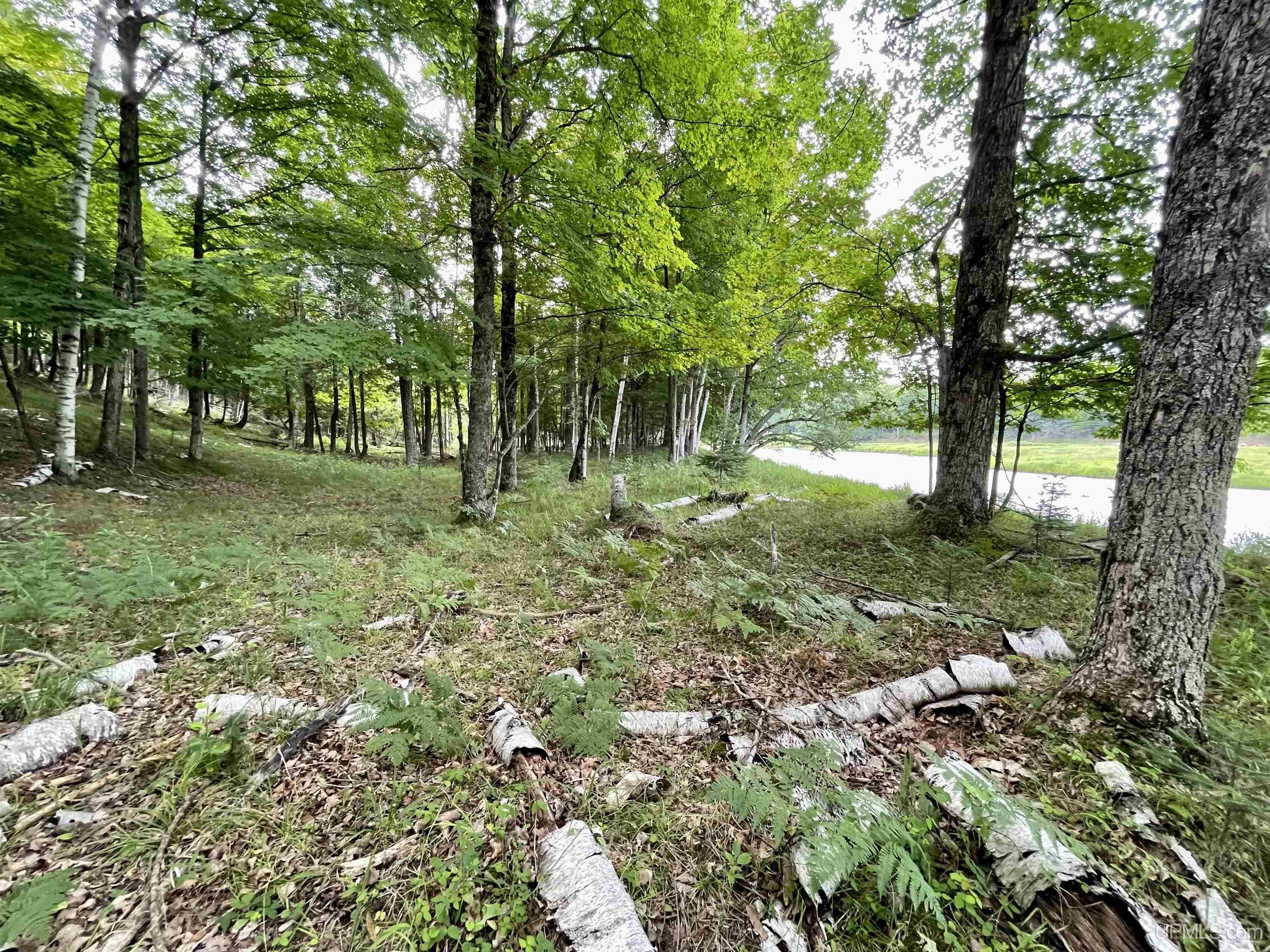 23.5 Rd Gladstone Mi 49837 Road Gladstone, MI 49837 - Photo 25 of 45
