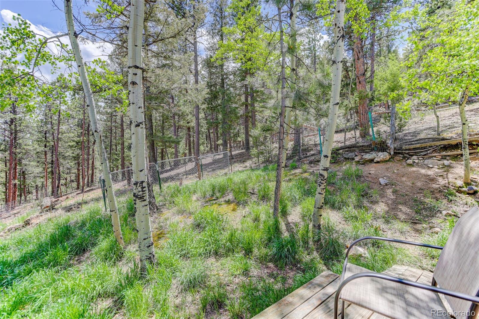 539 South Random Road Bailey, CO 80421 - Photo 19 of 46