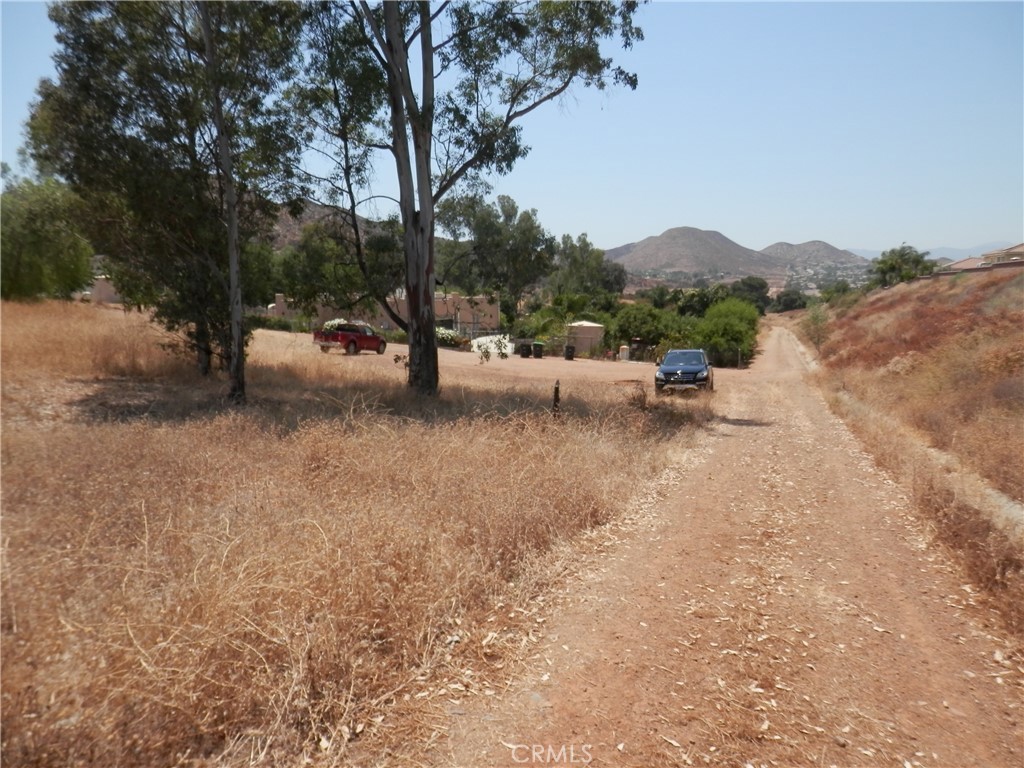 A Hemlock Street Wildomar, CA 92584 - Photo 8 of 15 a view of a yard with a tree