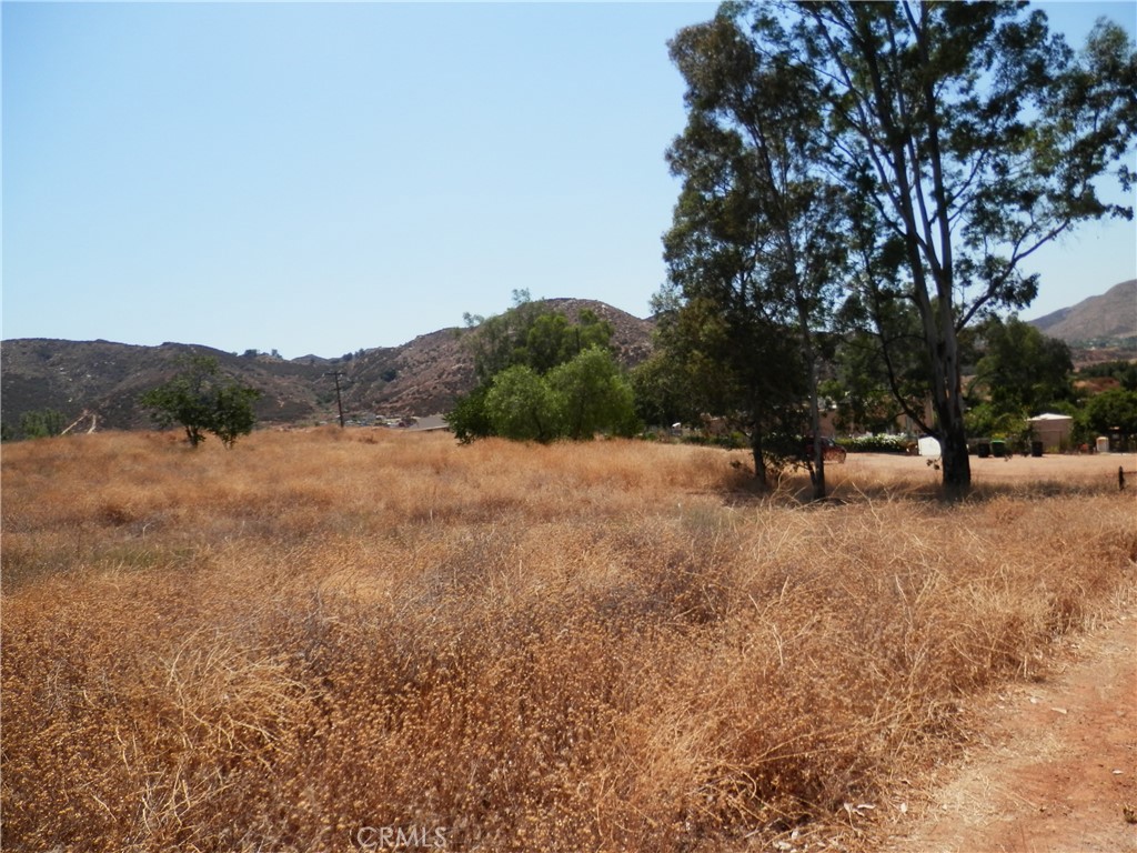 A Hemlock Street Wildomar, CA 92584 - Photo 10 of 15 a view of outdoor space with a garden