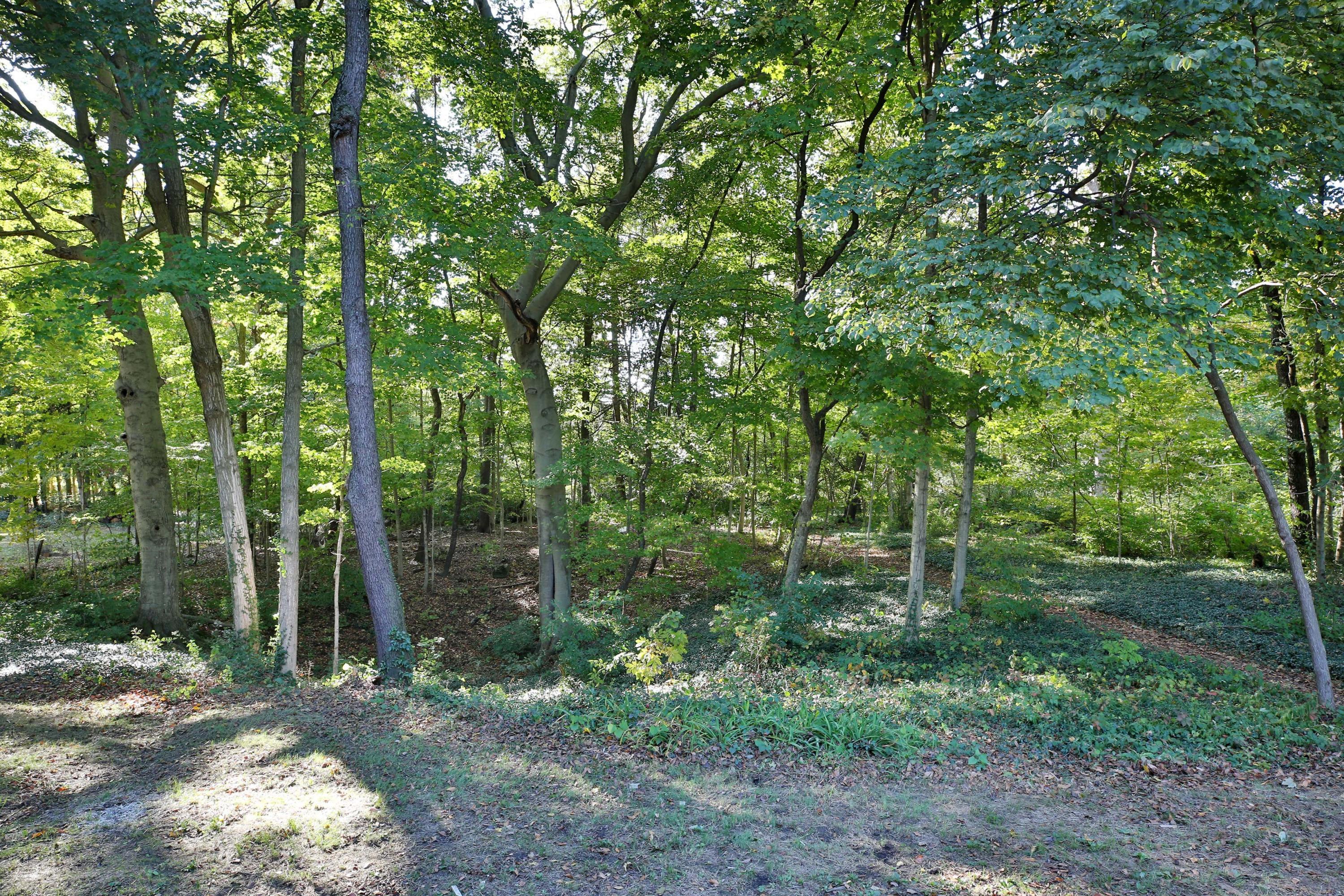 7332 South Section Line Road Delaware, OH 43015 - Photo 46 of 51