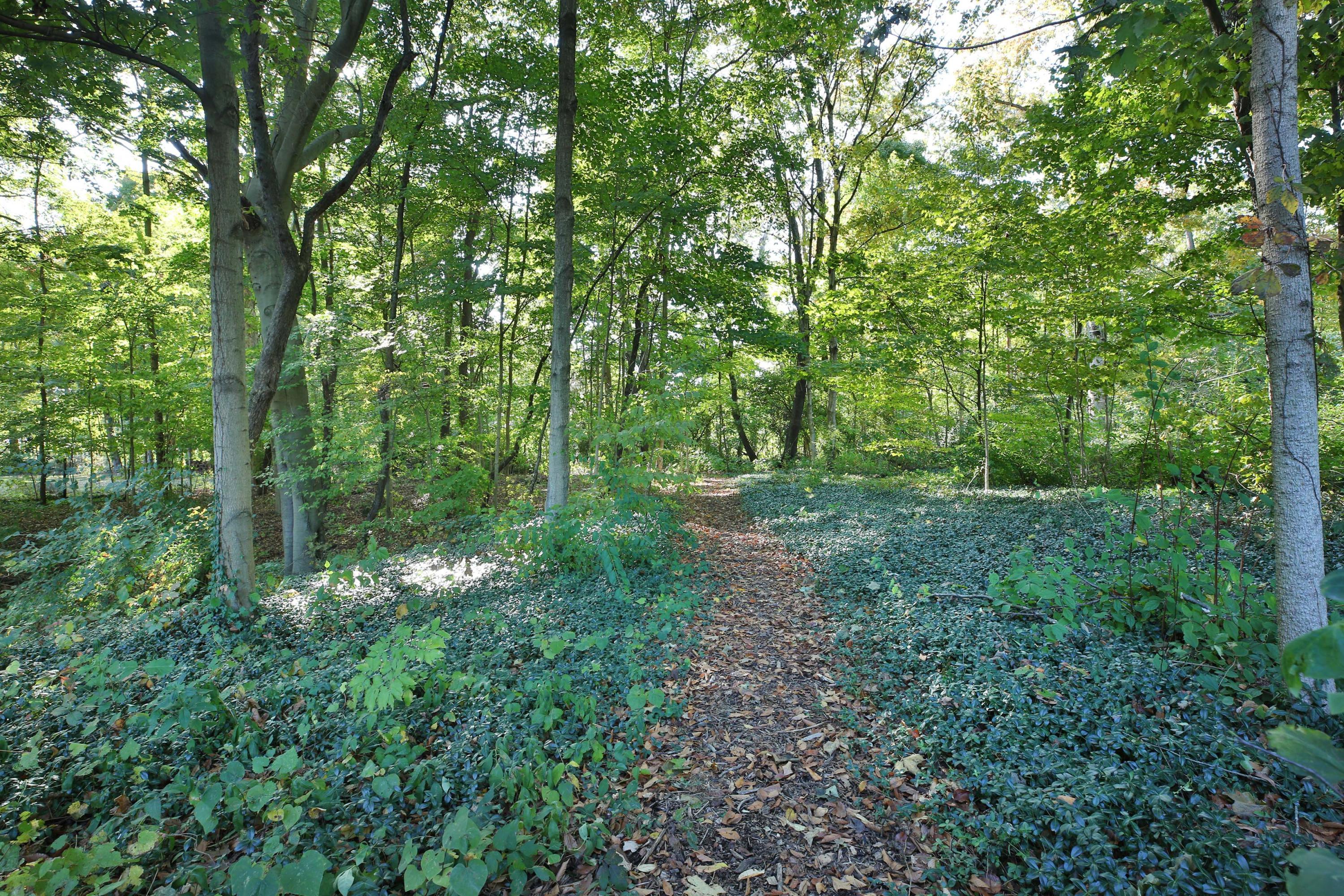 7332 South Section Line Road Delaware, OH 43015 - Photo 47 of 51