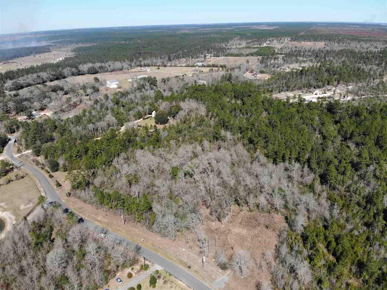 4-acres Martin Road Milton, FL 32570 - Photo 3 of 7