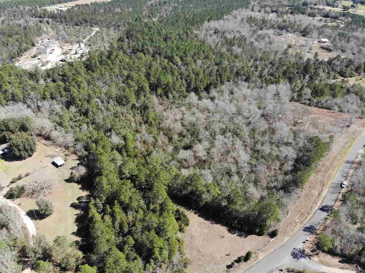 4-acres Martin Road Milton, FL 32570 - Photo 4 of 7