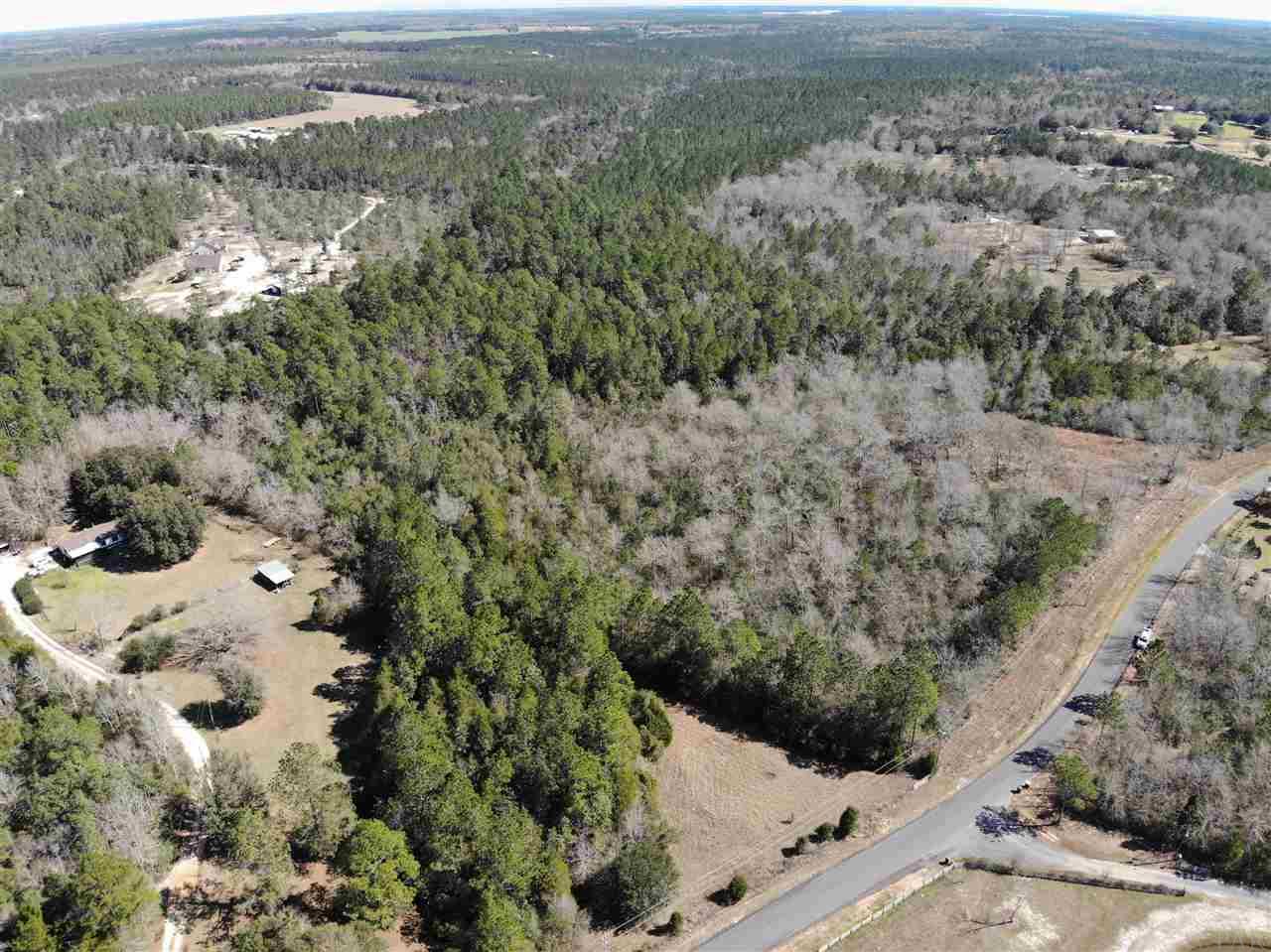 4-acres Martin Road Milton, FL 32570 - Photo 5 of 7