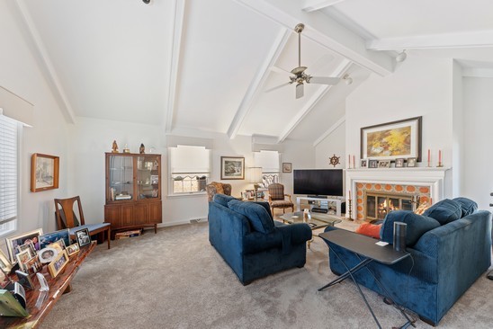 601 North Merrill Street Park Ridge, IL 60068 - Photo 8 of 27 a living room with furniture and a flat screen tv