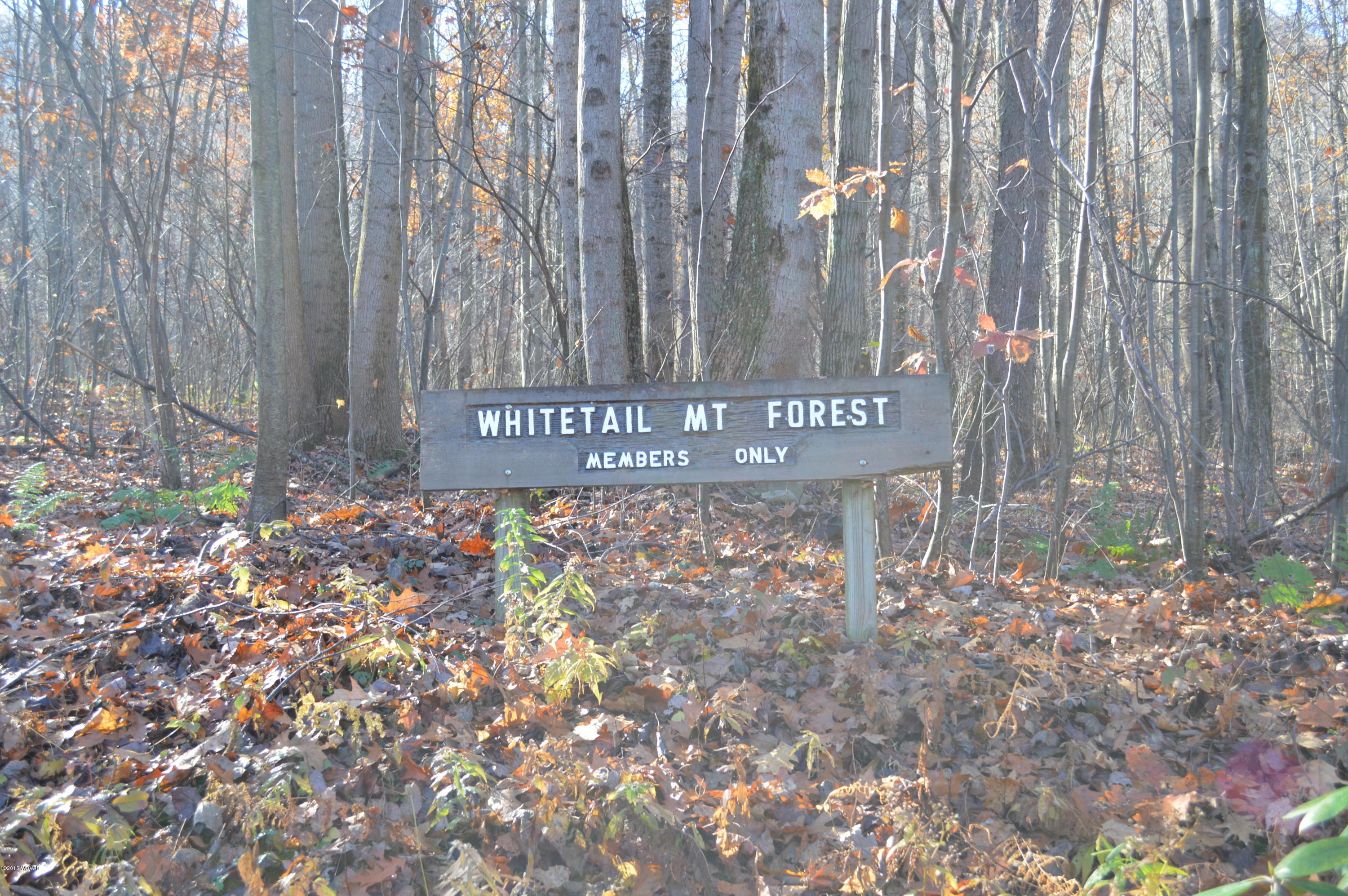 ---- Sugar Camp Road Beech Creek, PA 16822 - Photo 6 of 14 Whitetail Mt. Forest Association Sign