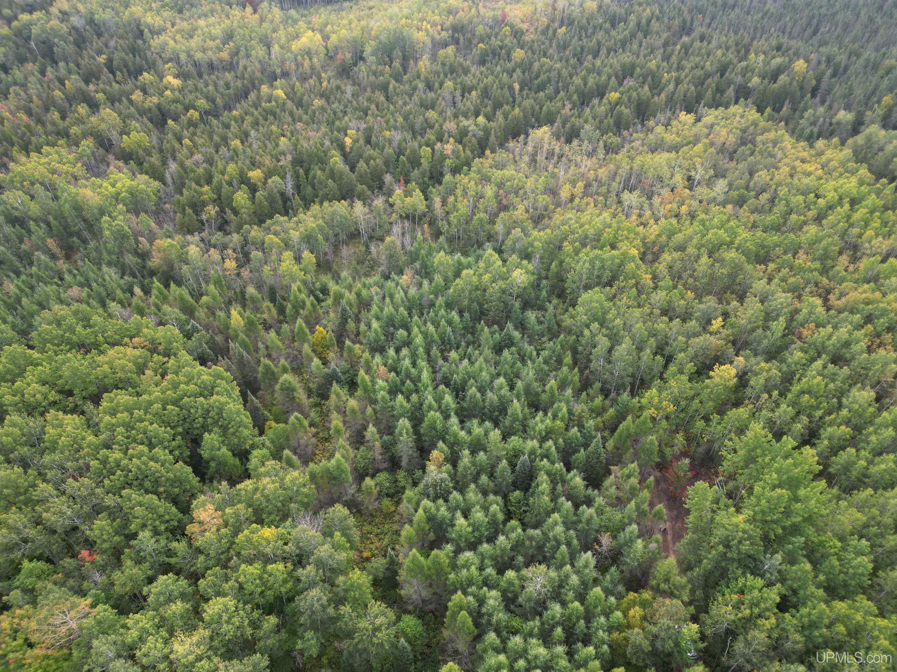 426 Rd Cornell Mi 49818 Road Cornell, MI 49818 - Photo 2 of 9
