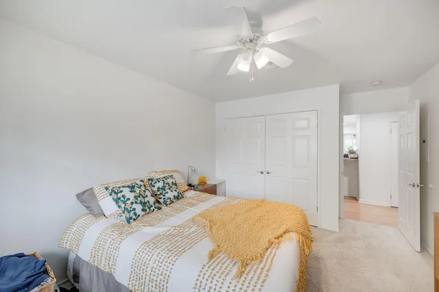 a view of a yard with plants and trees beside of it