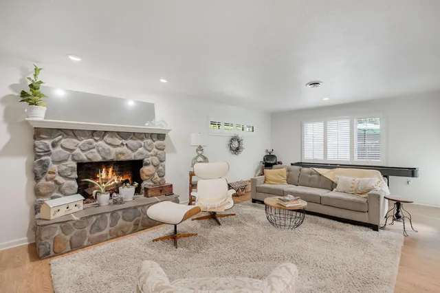 a view of a yard with plants and large trees