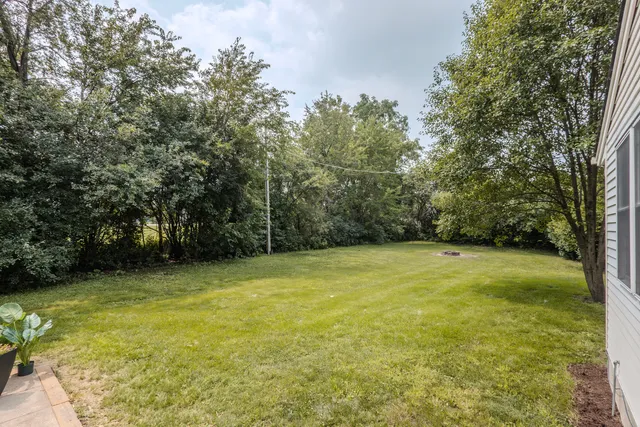 a view of a yard with a trees