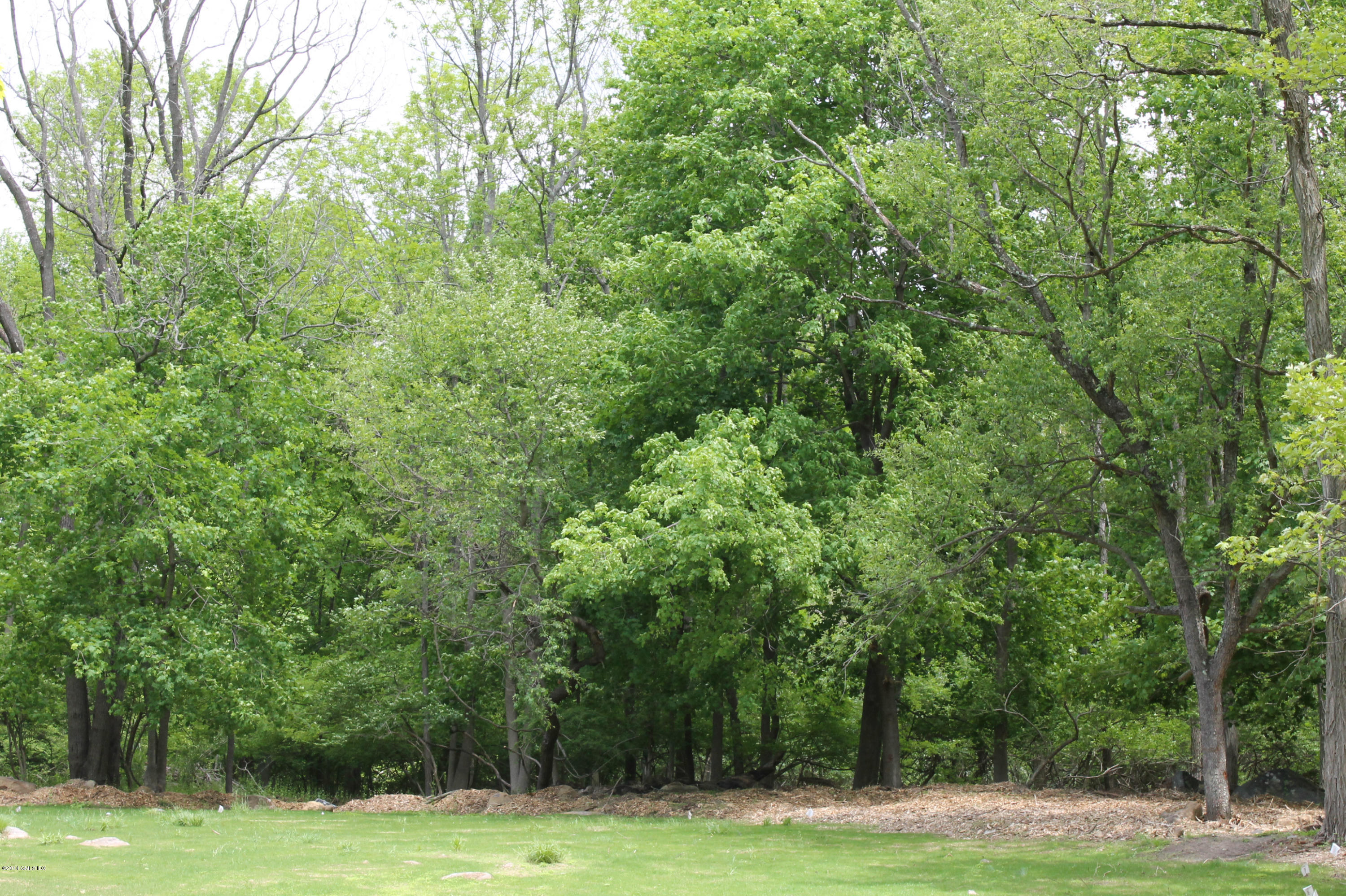 0 Taconic Road Greenwich, CT 06831 - Photo 1 of 5 a view of a golf course with a trees