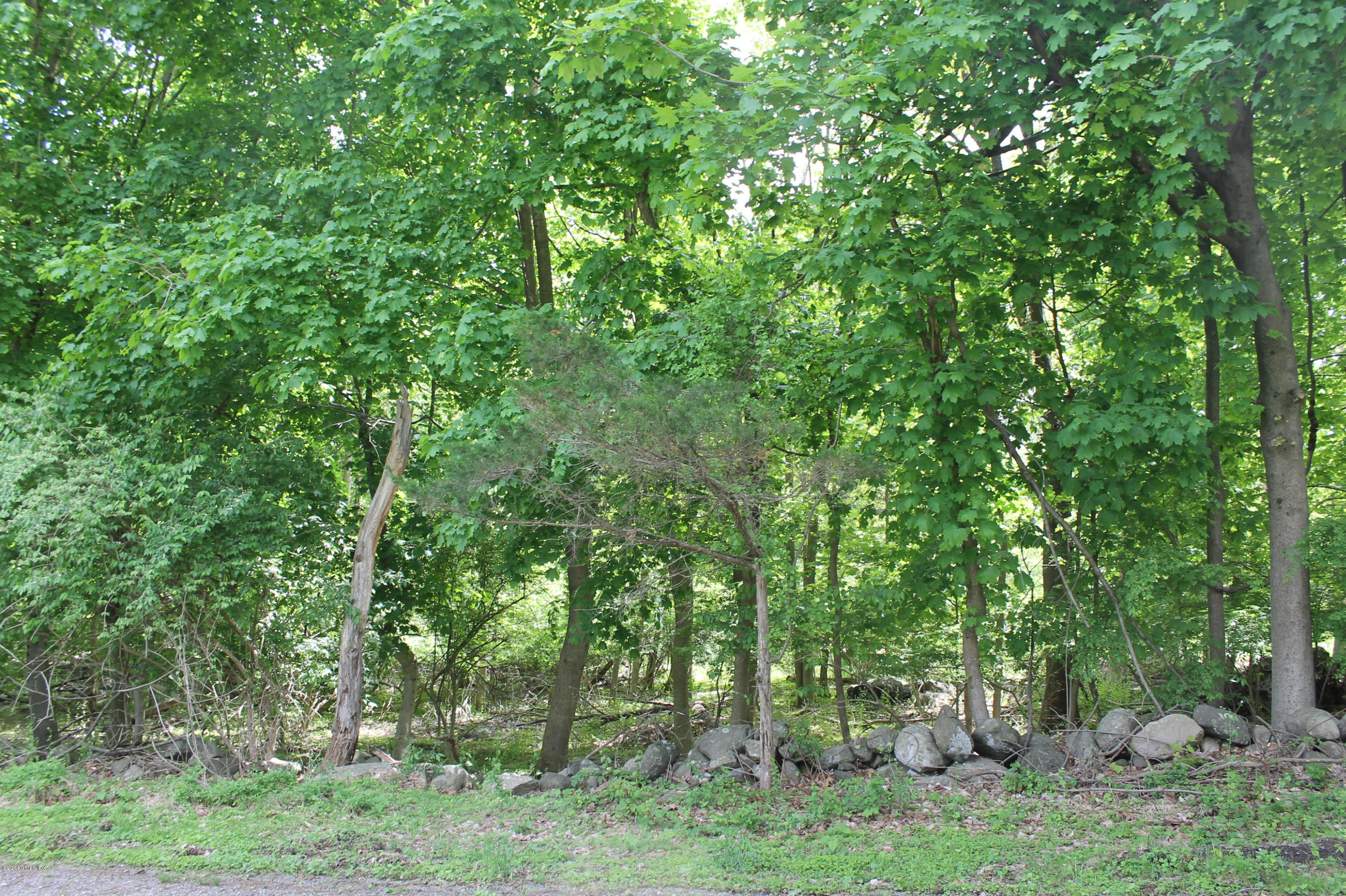 0 Taconic Road Greenwich, CT 06831 - Photo 2 of 5 a view of a lush green forest