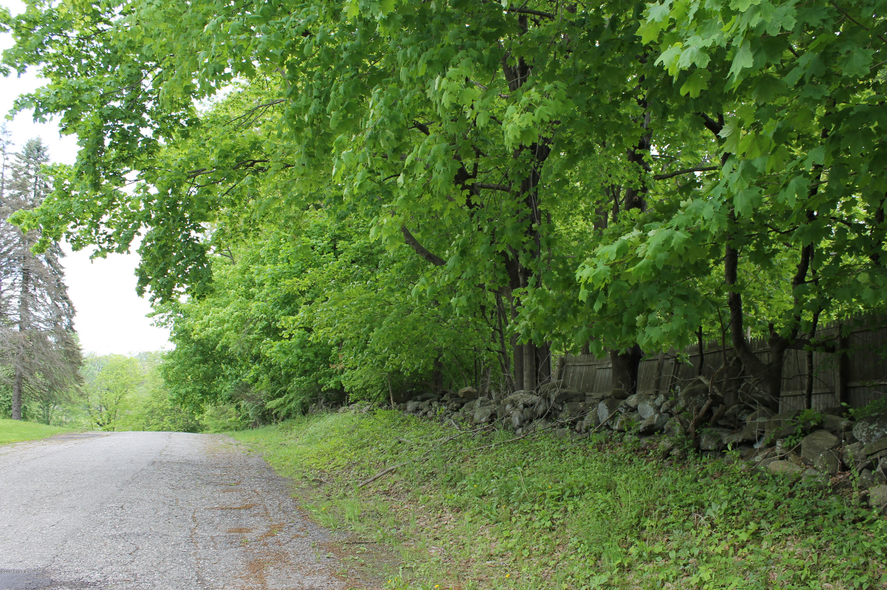 0 Taconic Road Greenwich, CT 06831 - Photo 3 of 5 a view of a lush green forest